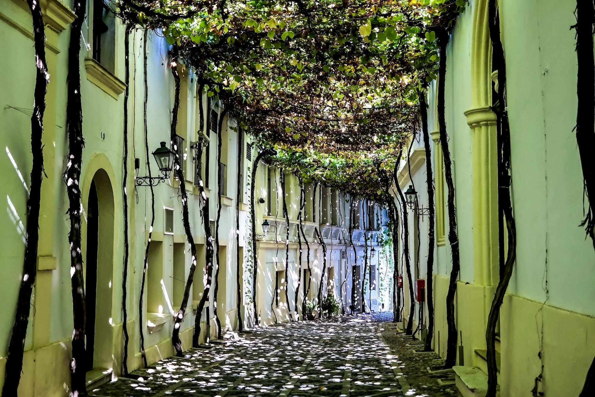 I vicoli coperti dall’ombra della vita a Jerez ©Homo Cosmicos/Shutterstock