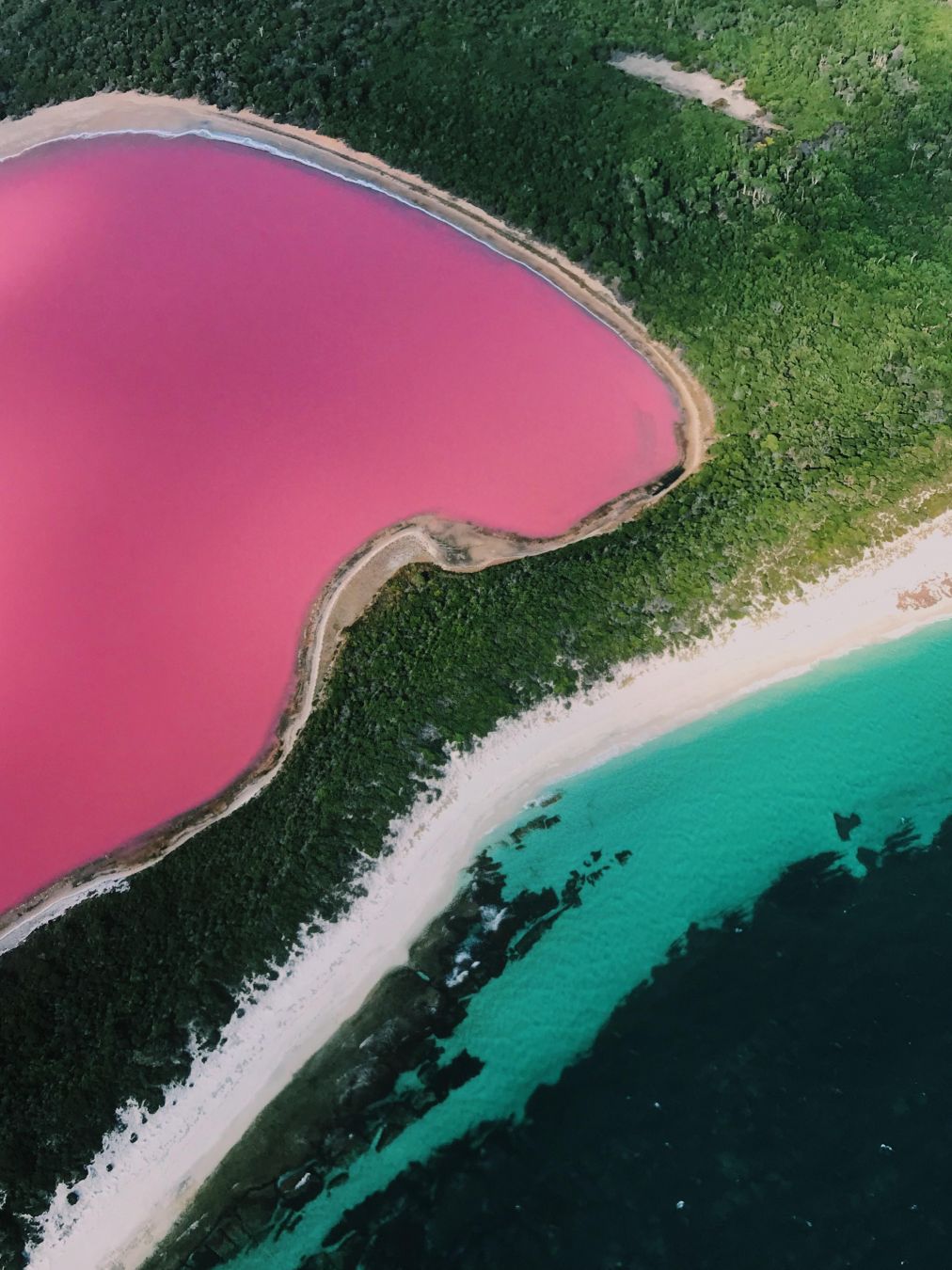 Lago Hillier, Middle Island, Recherche Archipelago, Goldfields-Esperance, Australia