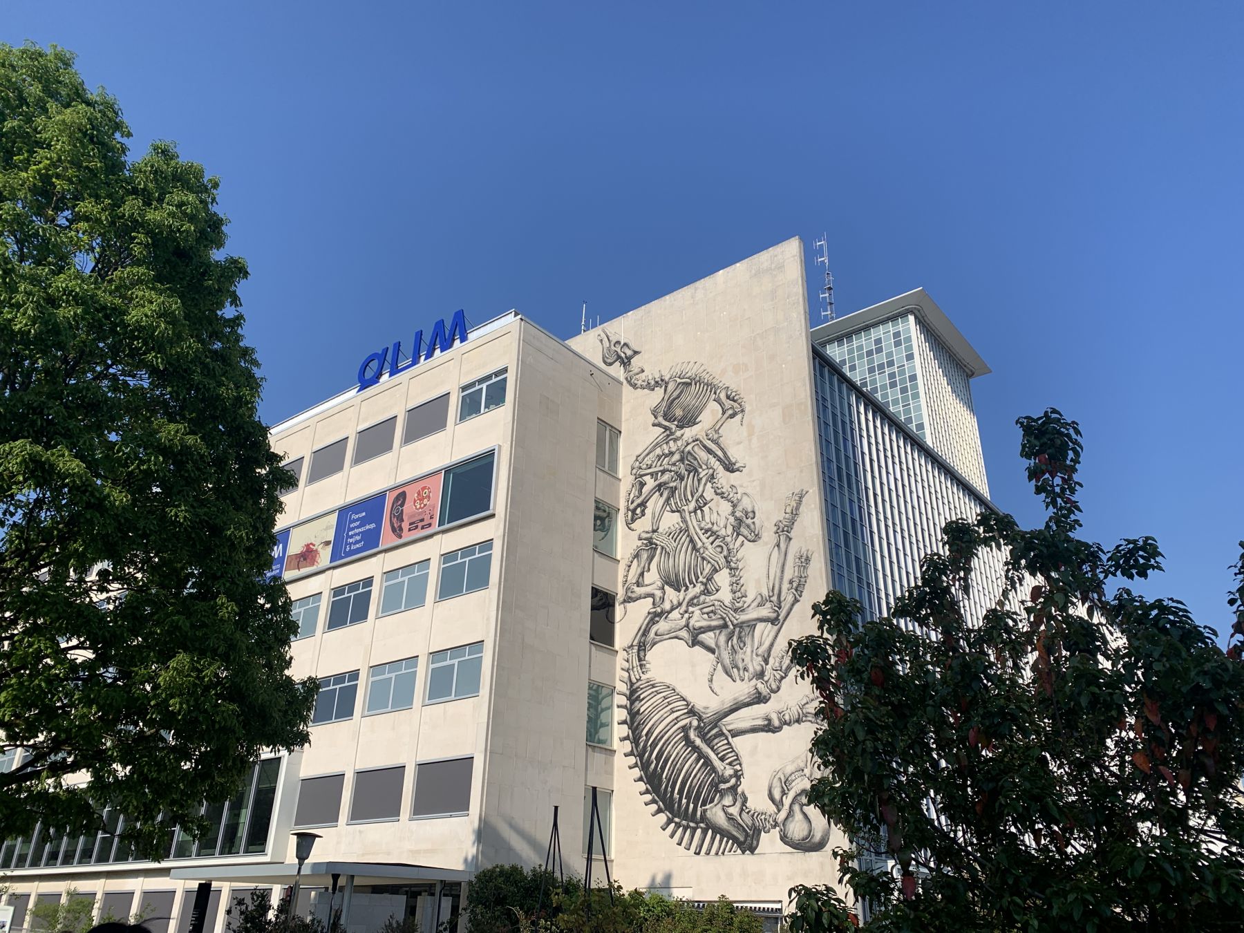 Il murales di ROA al GUM © Giulia Grimaldi/Lonely Planet Italia