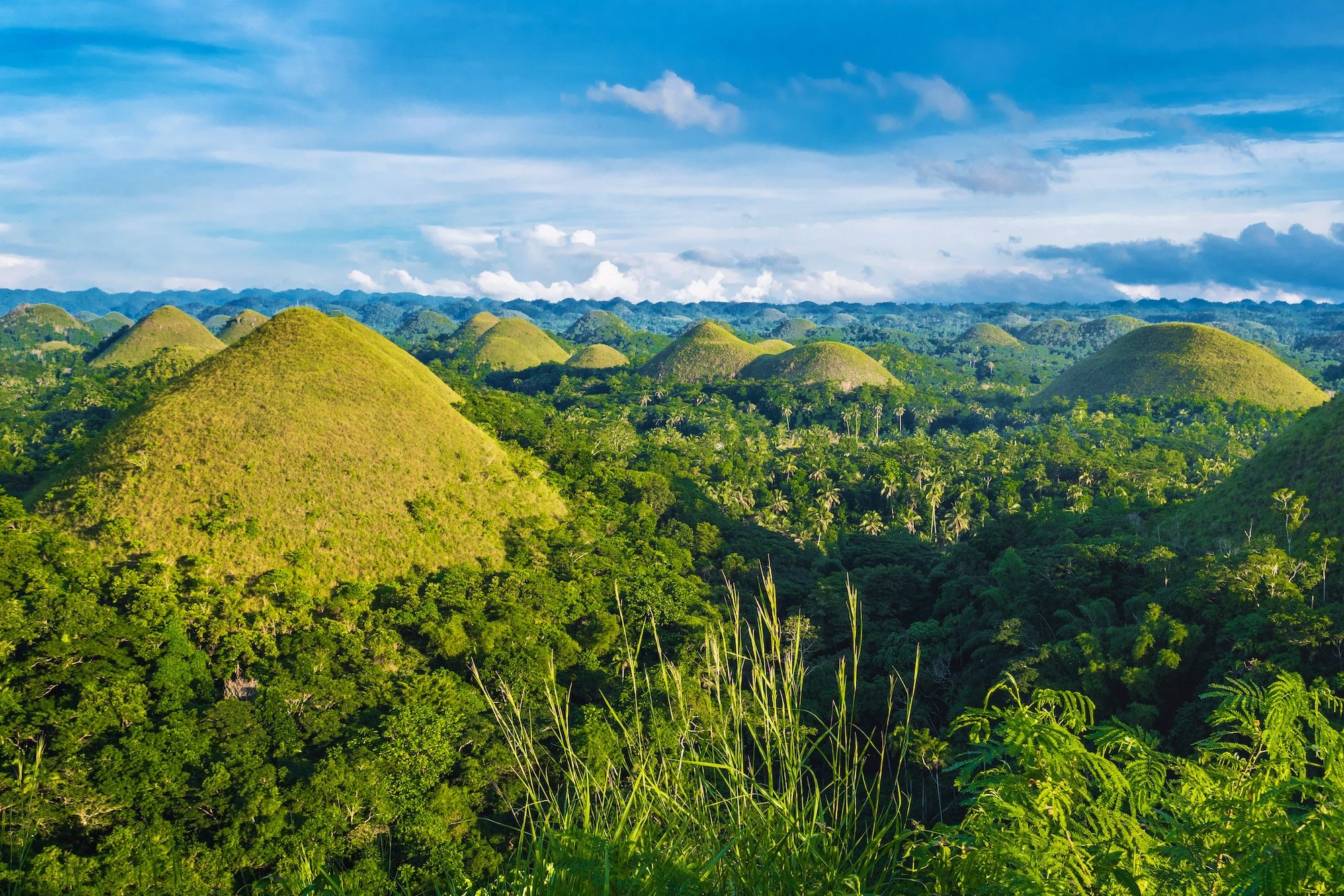 le singolari Chocolate Hills, nei pressi di Bohol ©R.M. Nunes
/Shutterstock