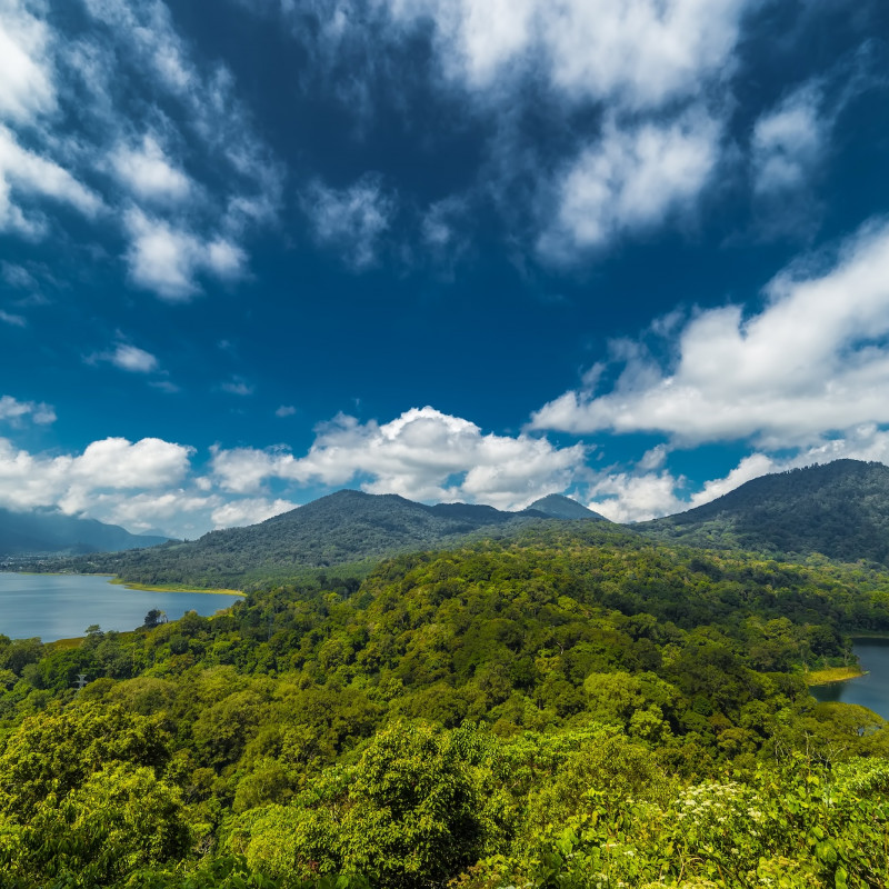 La foresta pluviale sacra attorno al Danau Tamblingan ©Valentin Ayupov/Shutterstock