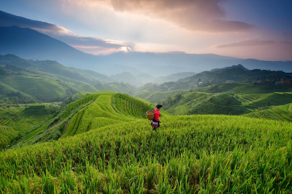 I terrazzamenti coltivati a riso di Longji © jiraphoto / Shutterstock