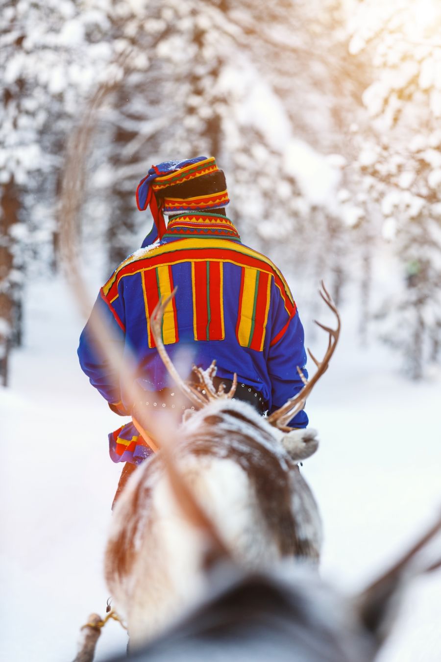 Sámi e renne nei boschi finlandesi; © TravelPhotoBloggers/Shutterstock