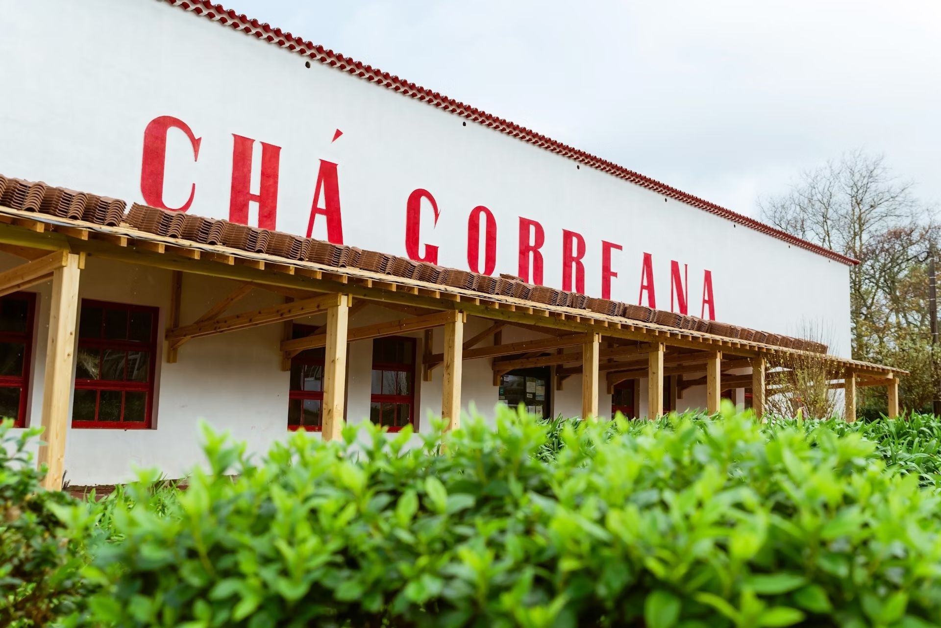 La deliziosa fabbrica di tè di Gorreana è una delle tappe più popolari dei tour di São Miguel © Damian Lugowski / Shutterstock