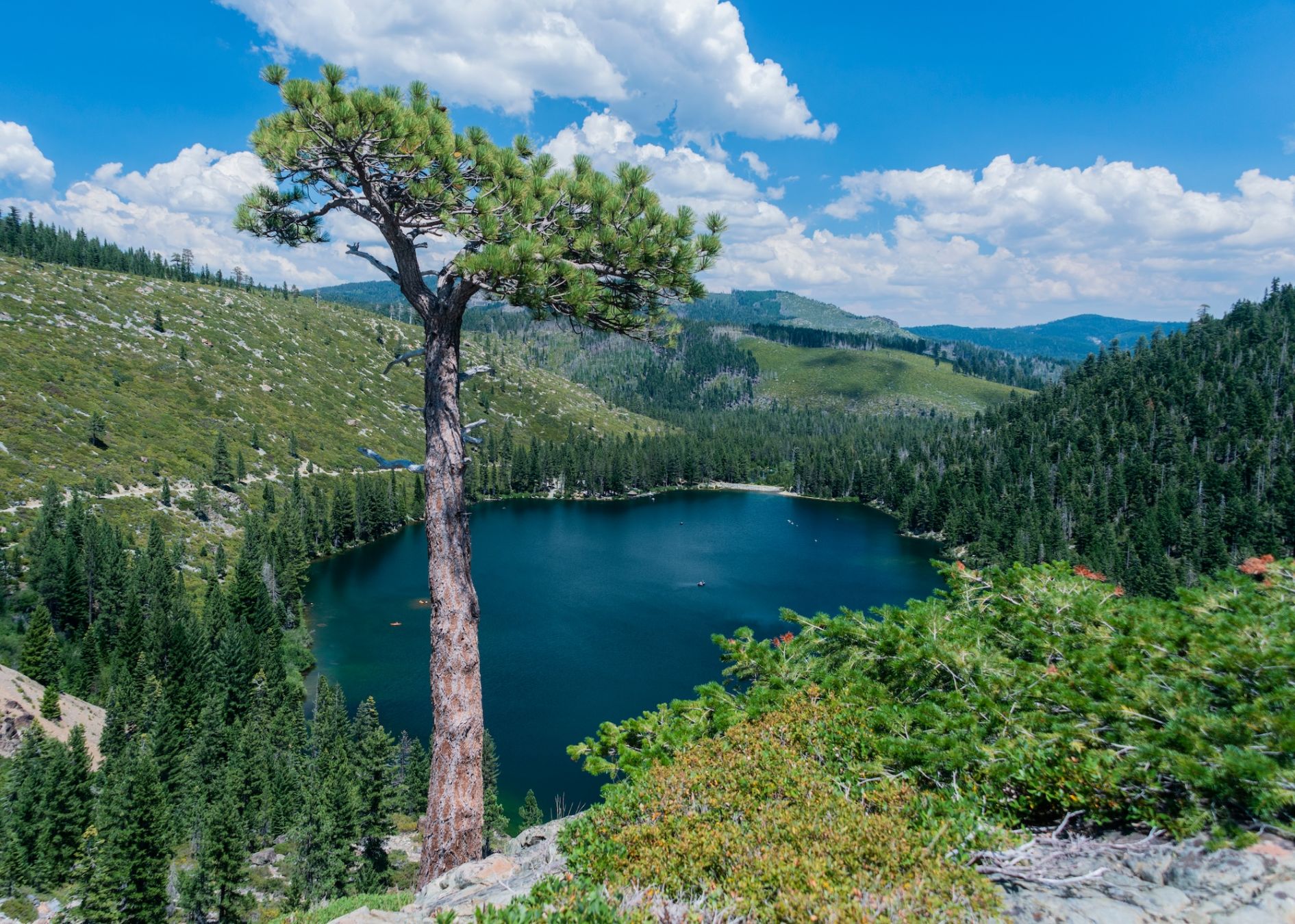 I posti migliori per la pesca sono il Salmon Lake e il Sardine Lake, o i fiumi North Yuba e Middle Feather ©Radu Sava/Shutterstock