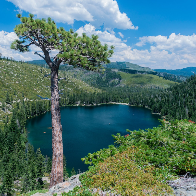 I posti migliori per la pesca sono il Salmon Lake e il Sardine Lake, o i fiumi North Yuba e Middle Feather  ©Radu Sava/Shutterstock
