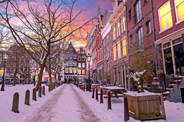 Le mostre da non perdere ad Amsterdam tra autunno e inverno