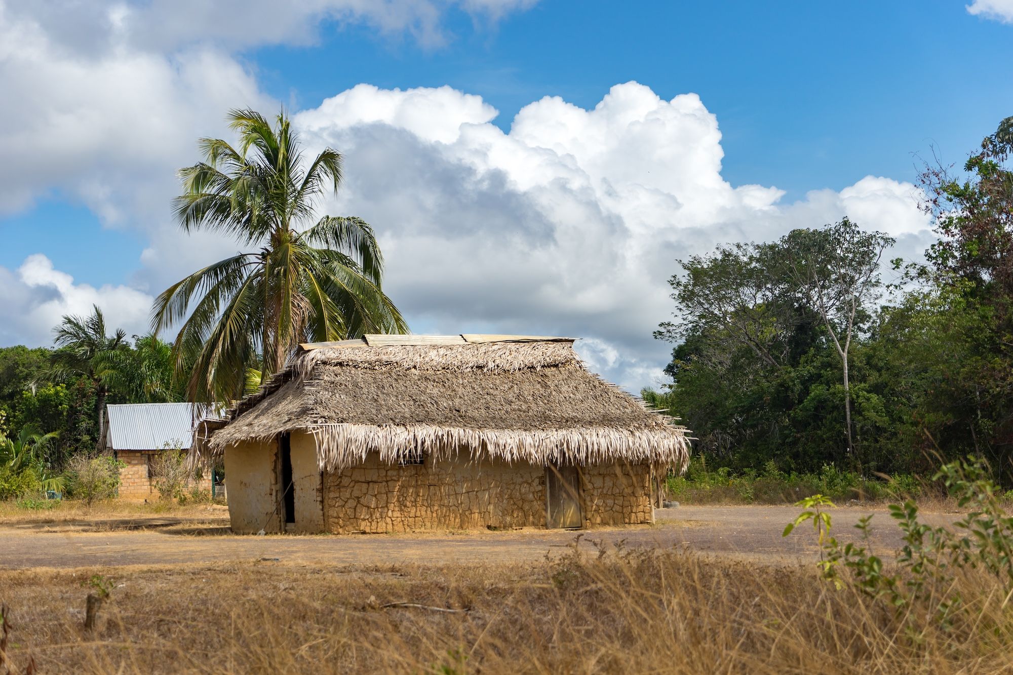Le case tradizionali del Rupununi ©Gail Johnson /Shutterstock