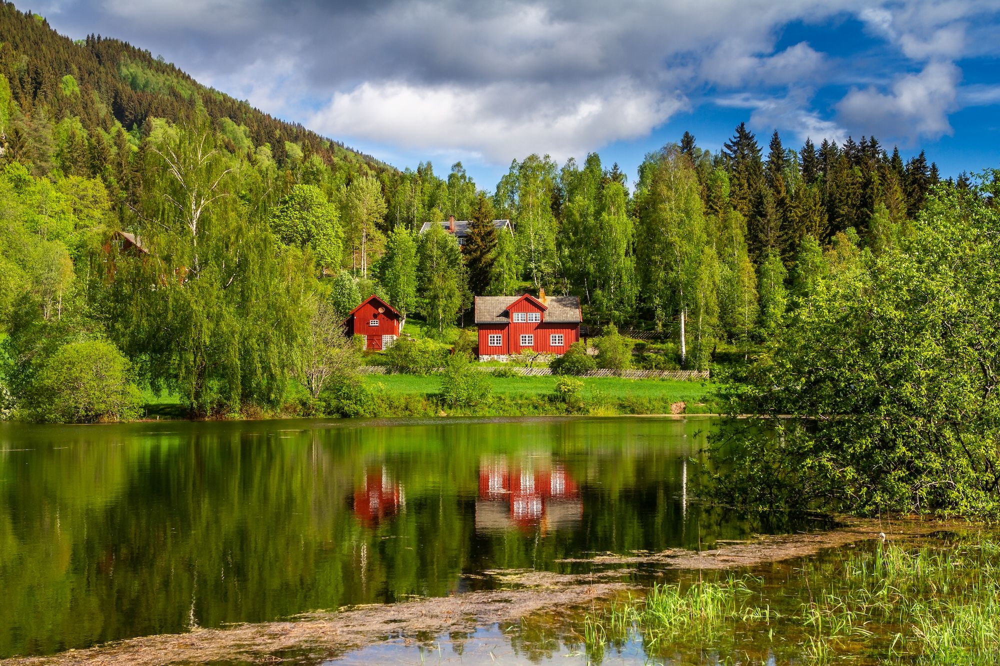 Grazie all’allemannsretten potete attraversare questi luoghi tutto l’anno ©Hamperium Photography /Shutterstock