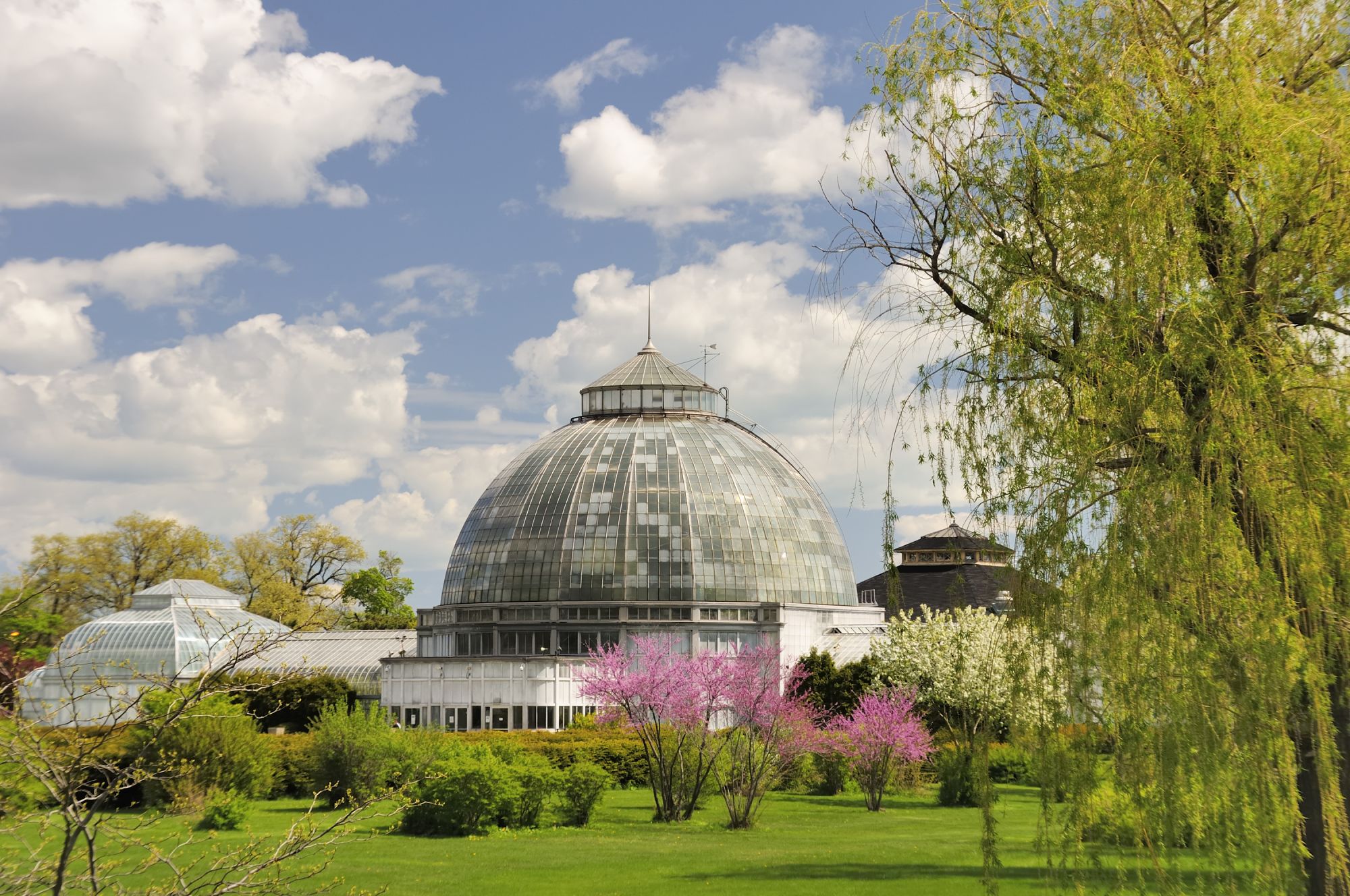 Belle Isle Conservatory a Detroit, Michigan