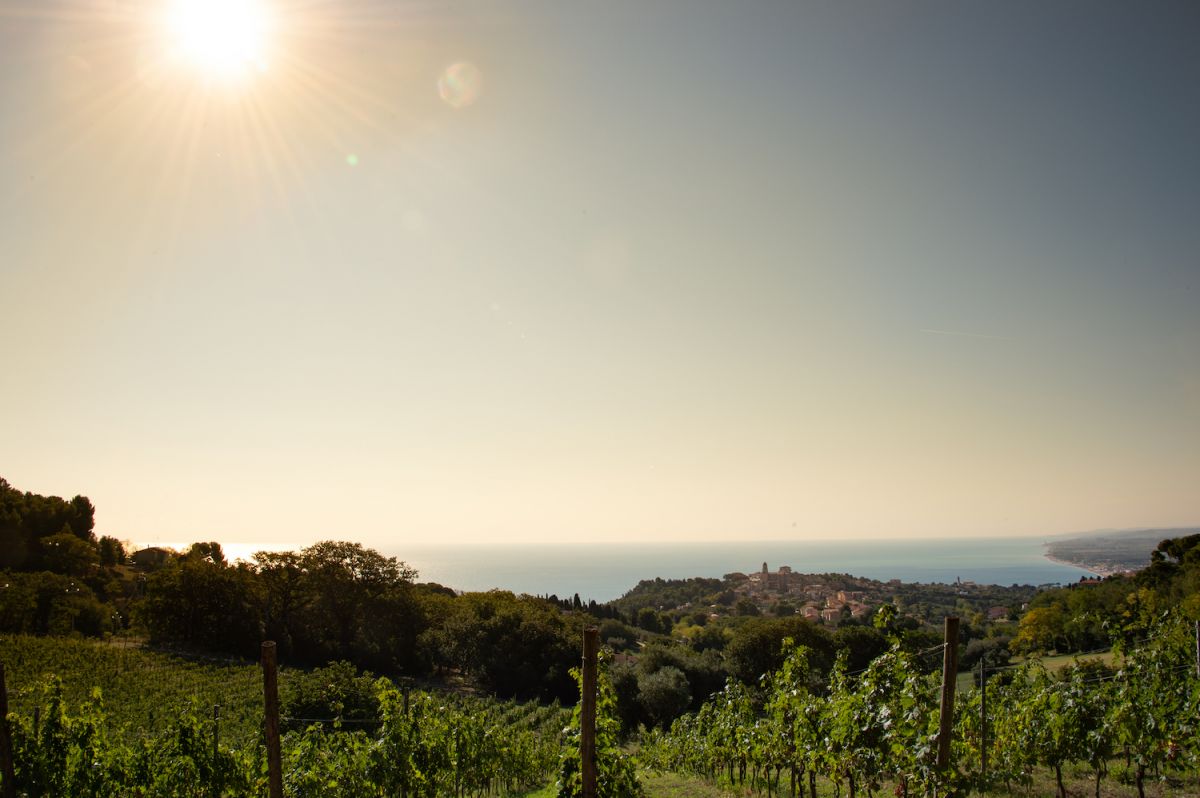 In viaggio tra Marche e Abruzzo con il vino e l'ospitalità di Umani ...