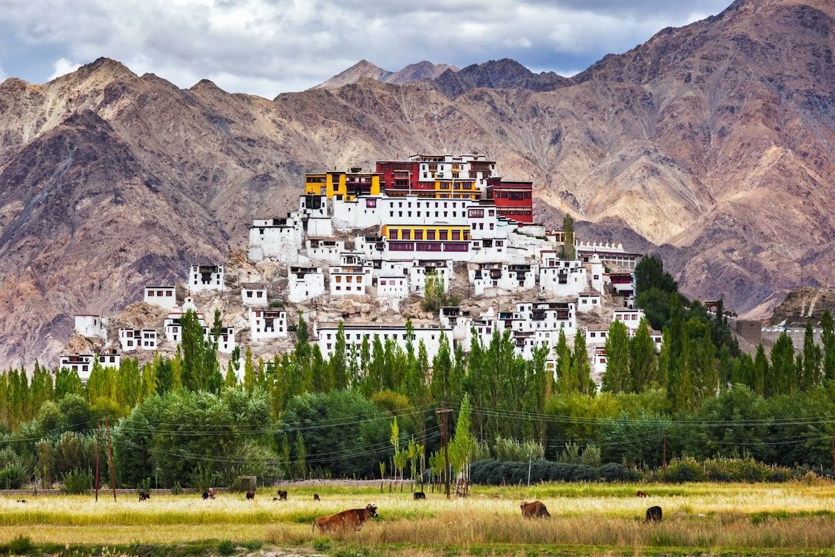 Il Thiksey Gompa è uno dei monasteri buddisti più maestosi dell’India. Dmitry Rukhlenko/Shutterstock