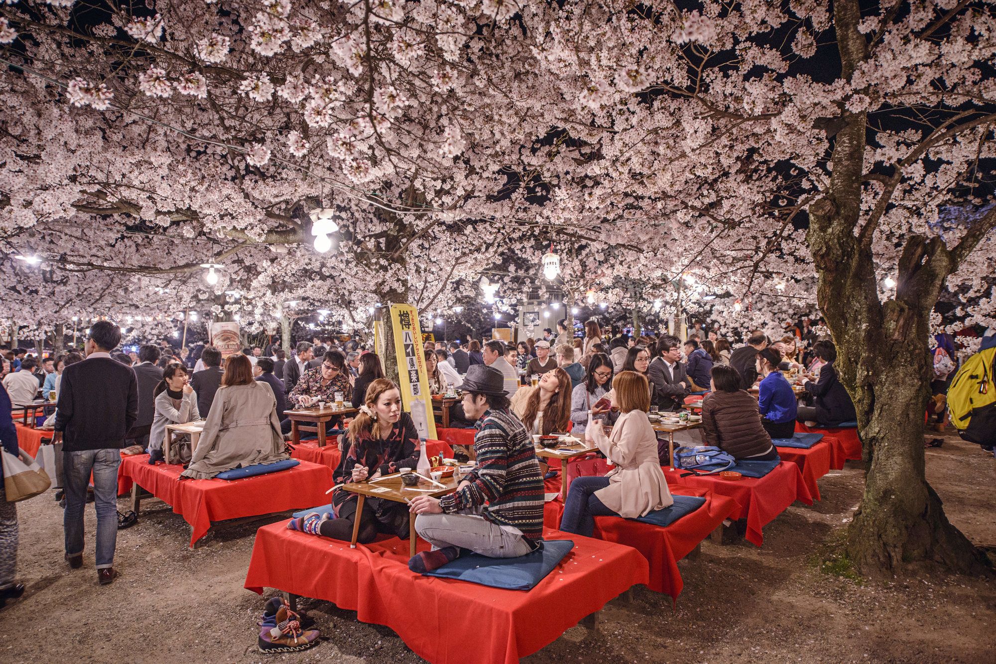 Celebrazione dell’Hanami nel Parco Maruyama di Kyoto ©Sean Pavone/Shutterstock