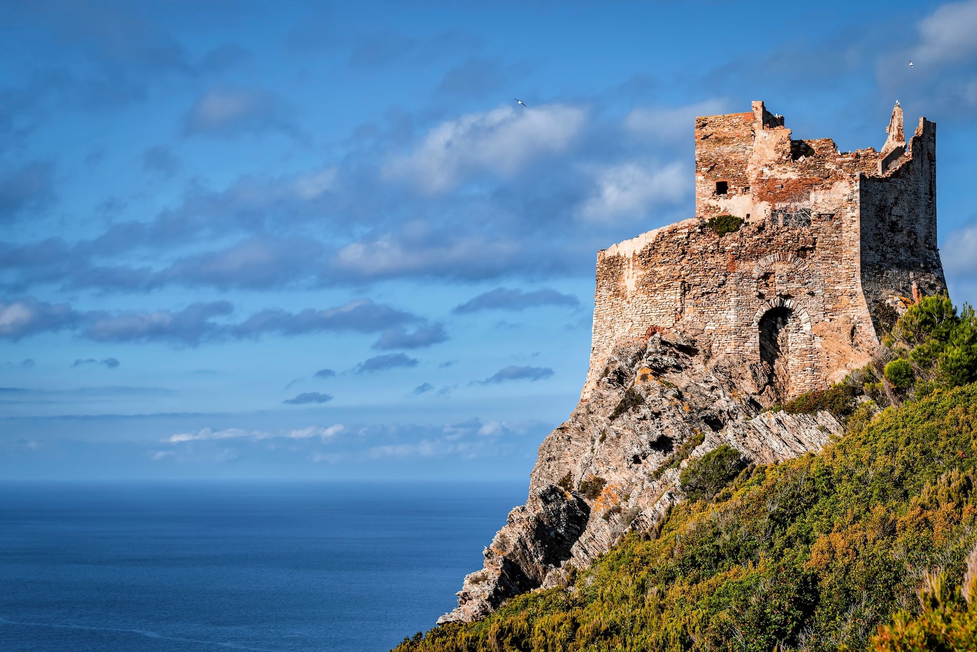 La Torre Vecchia, a picco sul mare, Gorgona