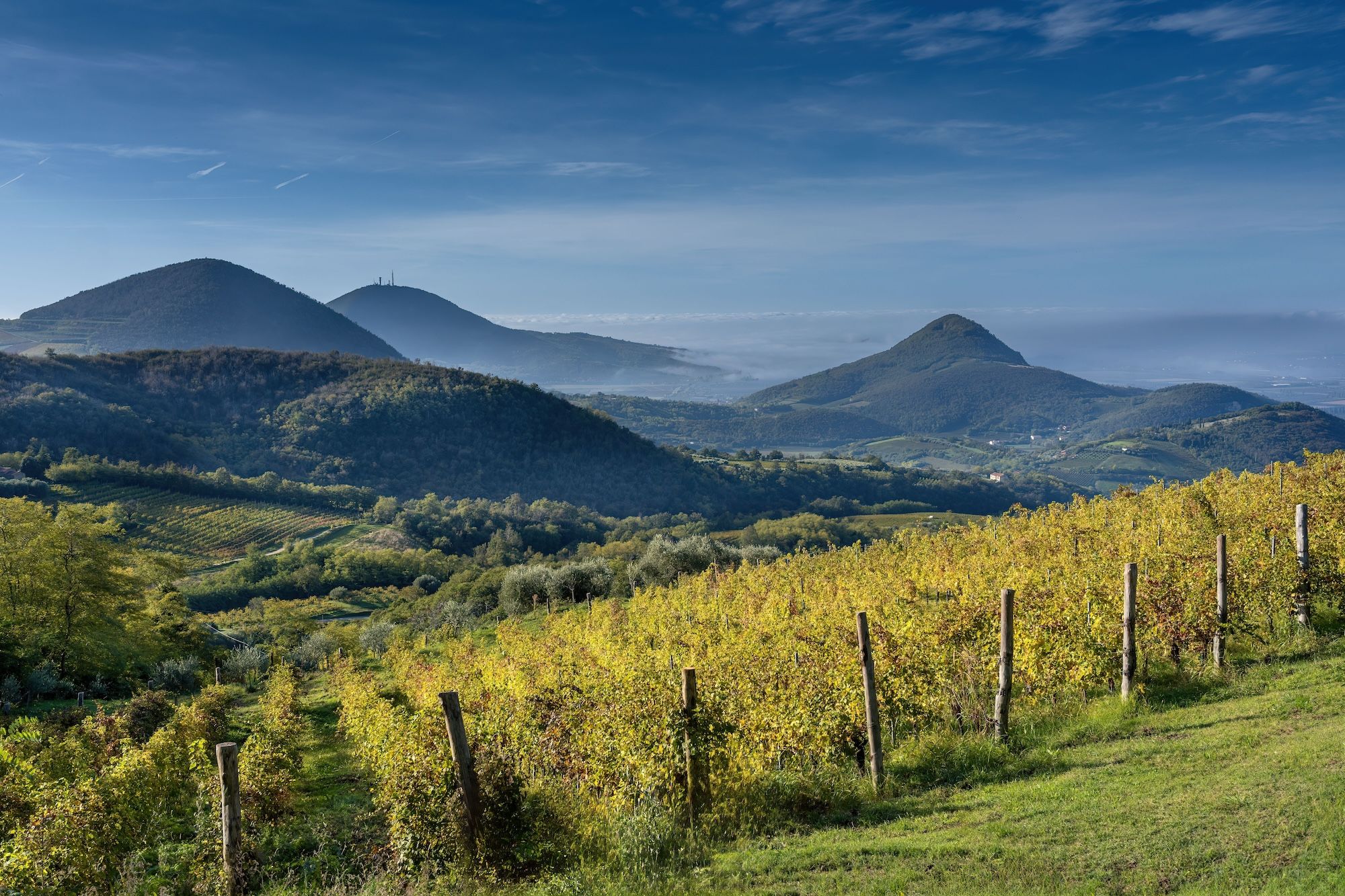 Il panorama dei Colli Euganei ©Marcoss / Shutterstock