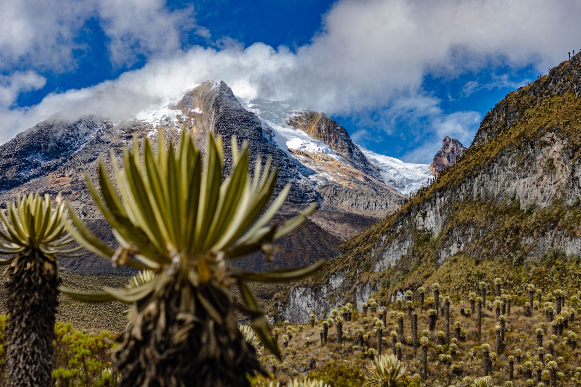 il paesaggio nei pressi del Nevado del Tolima ©antares_02/Shutterstock