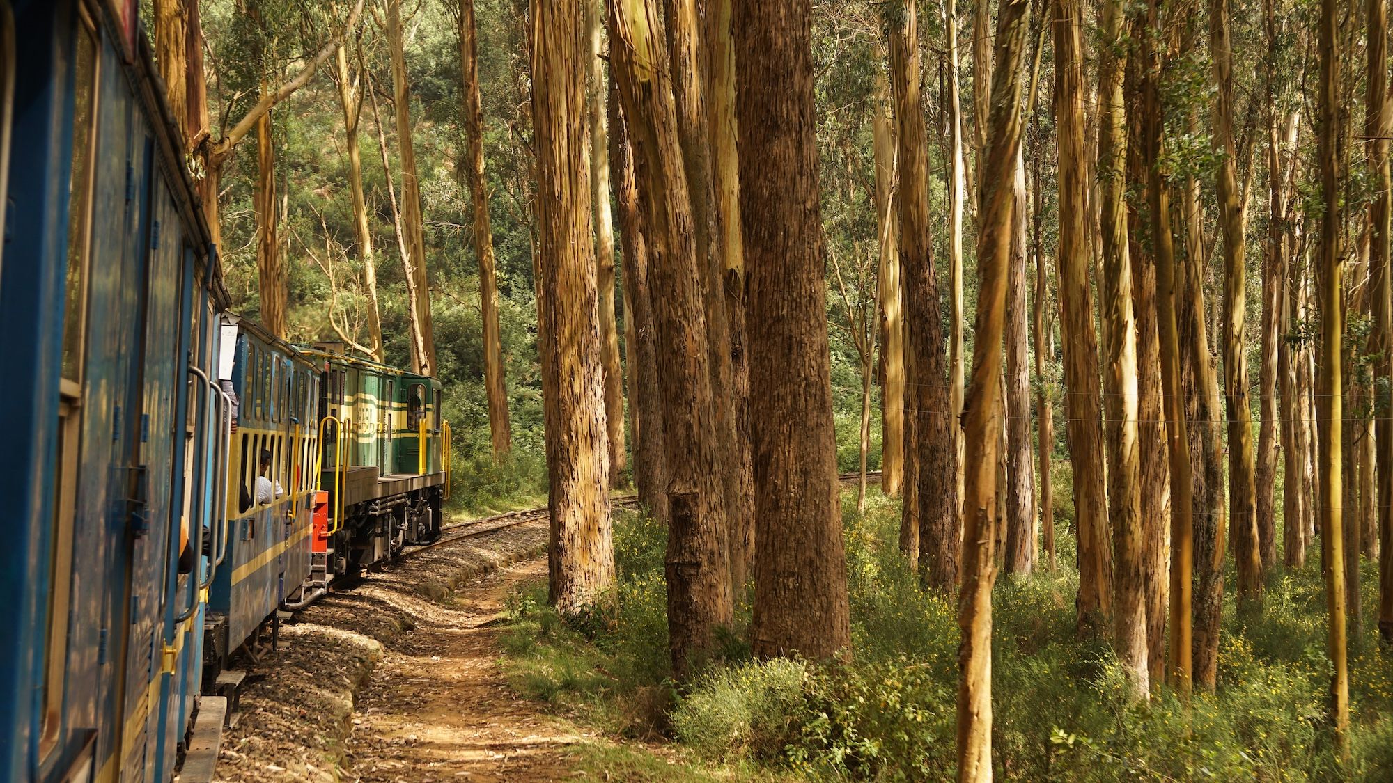 Il treno a cremagliera che raggiunge Ooty © chrisontour84 /Shutterstock