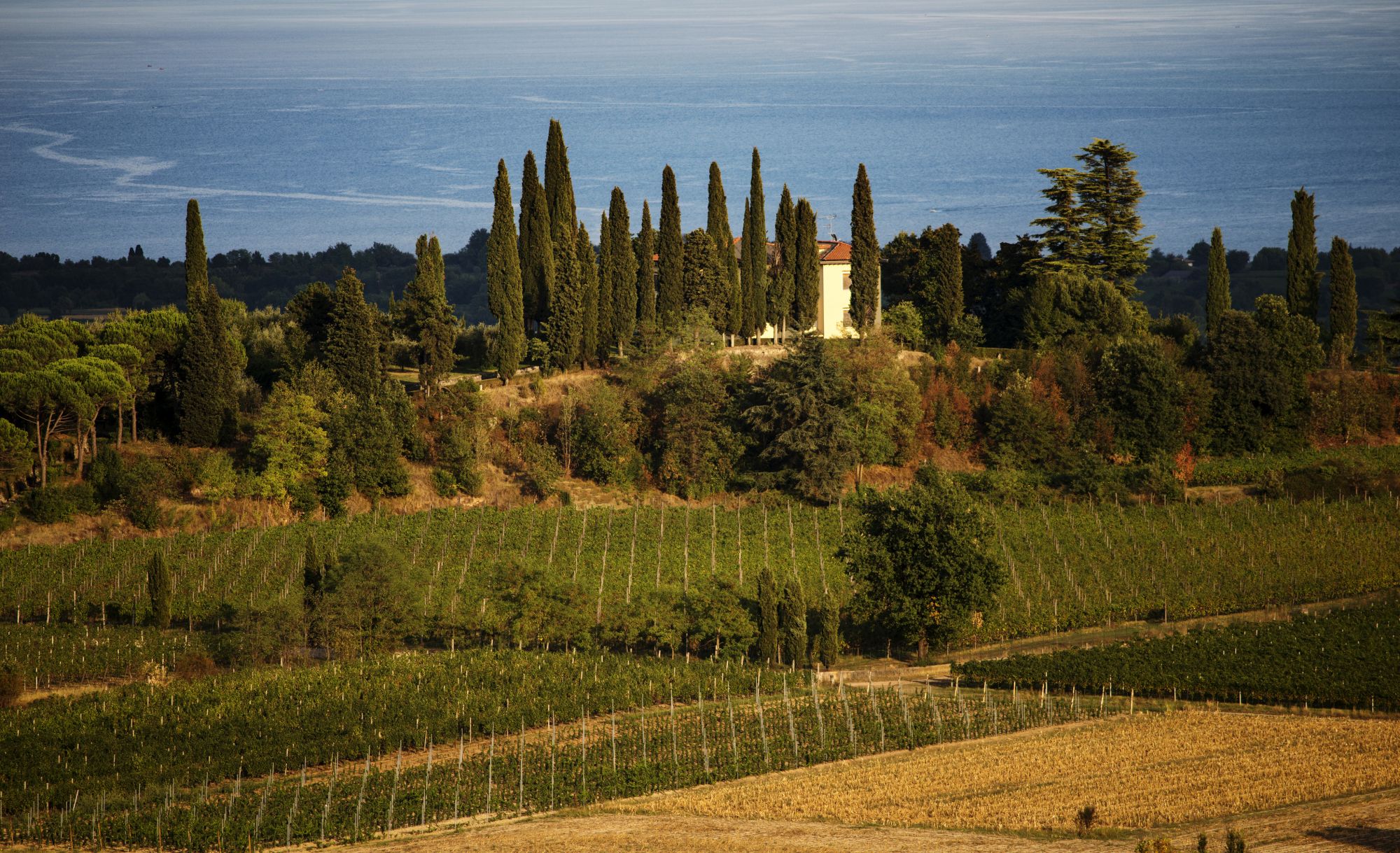 Il Lago di Garda e i vigneti del Consorzio Valtenesi. Credits Visit Brescia