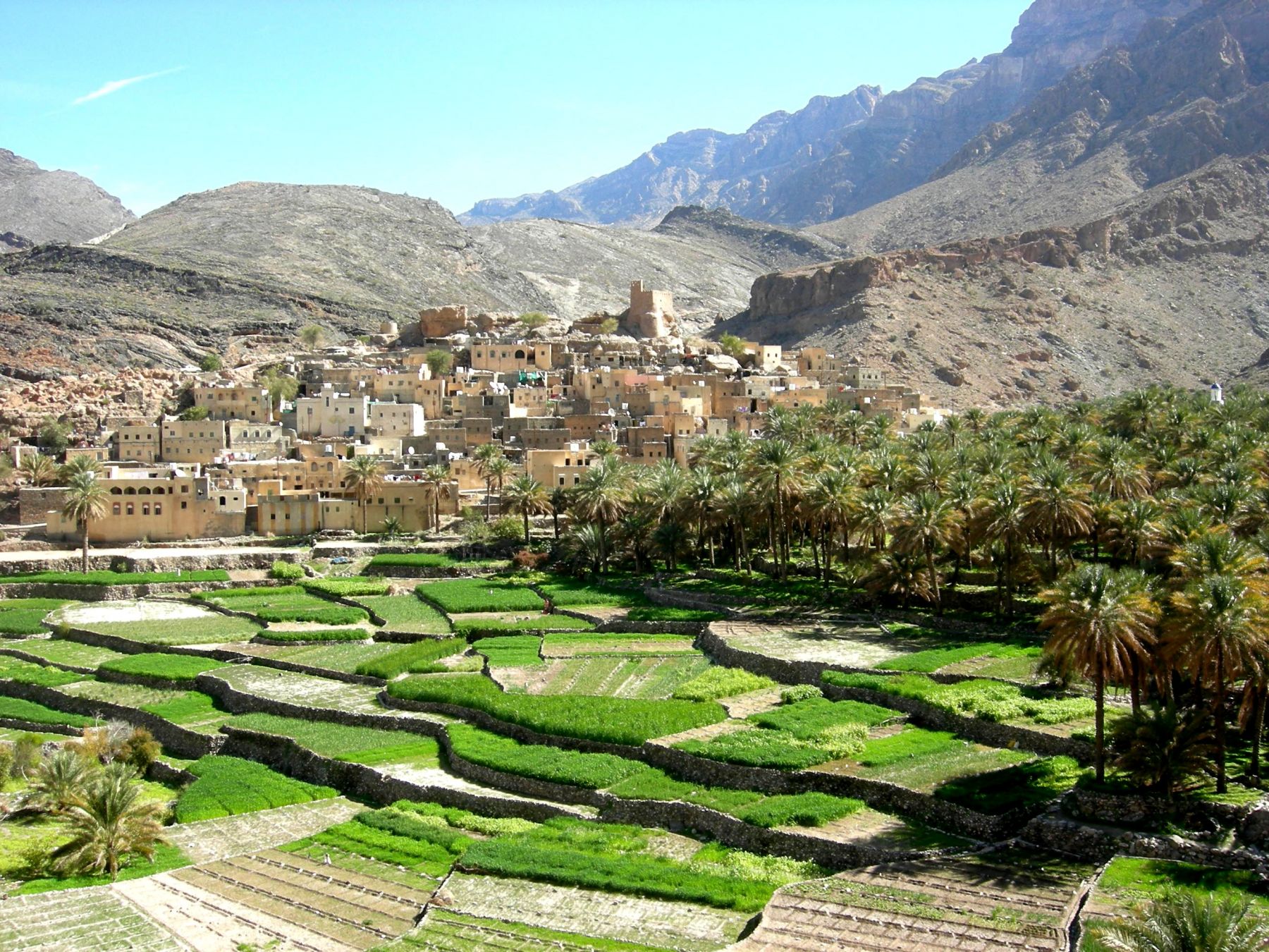 A Jebel Akhdar sono numerosi i terrazzamenti con giardini, roseti e frutteti