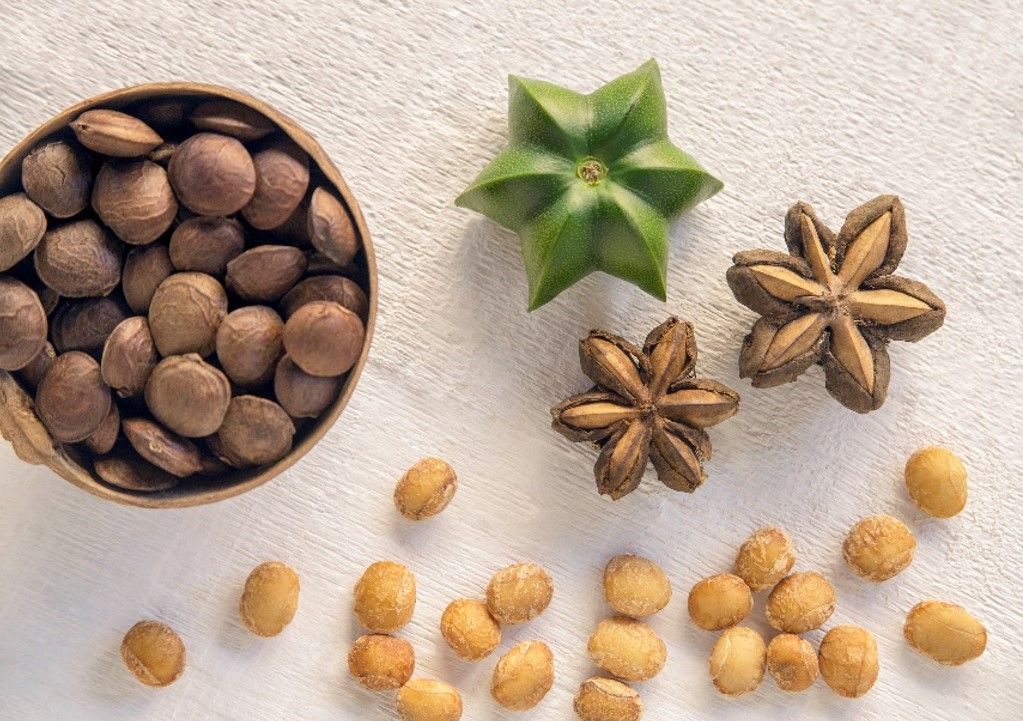 Sacha Inchi Snacks. Credits Yayo Lopez / Promperú