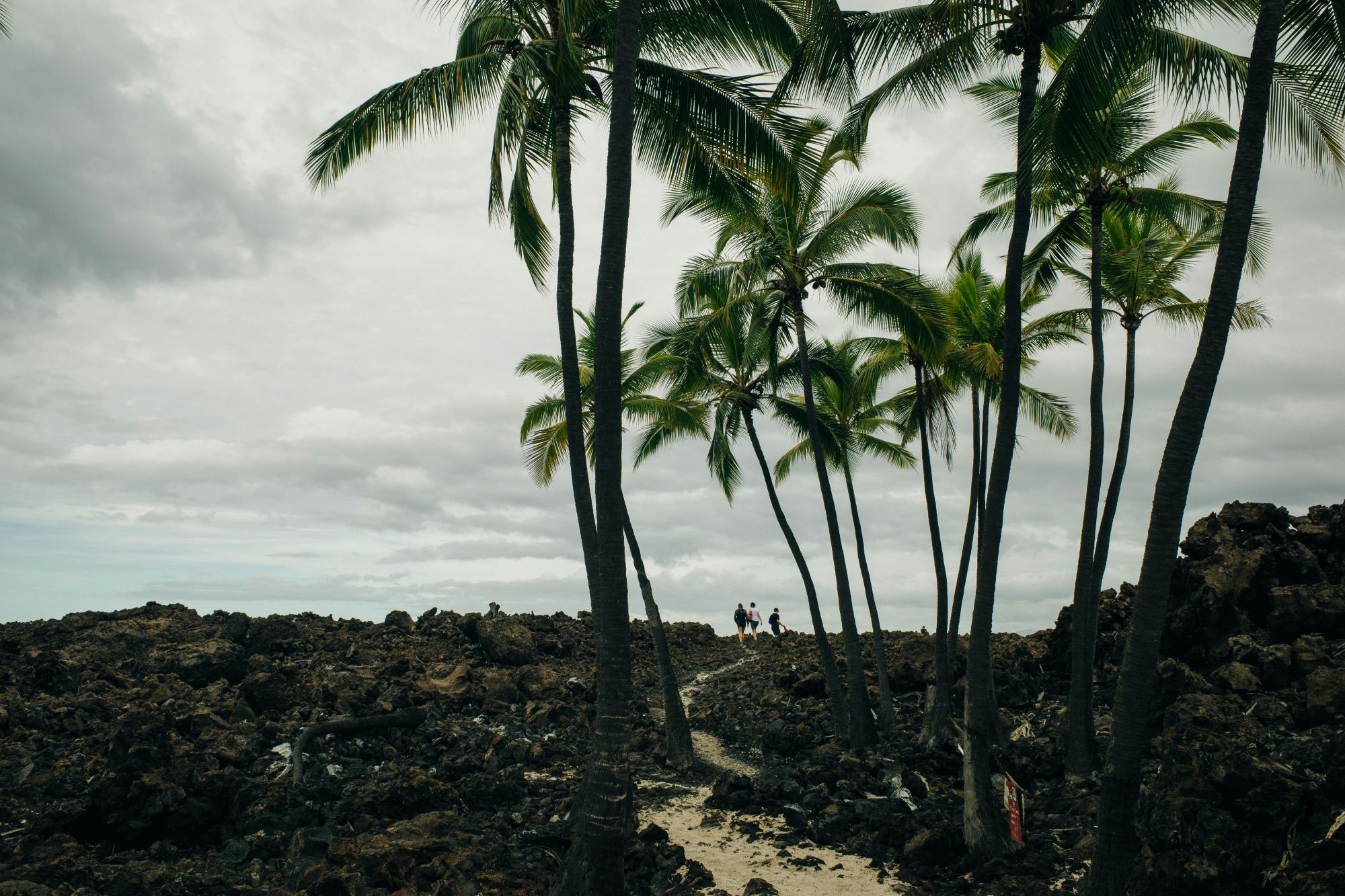 Mahai’ula Beach, nel Kekaha Kai State Park, Big Island. © Brester Irina/Shutterstock