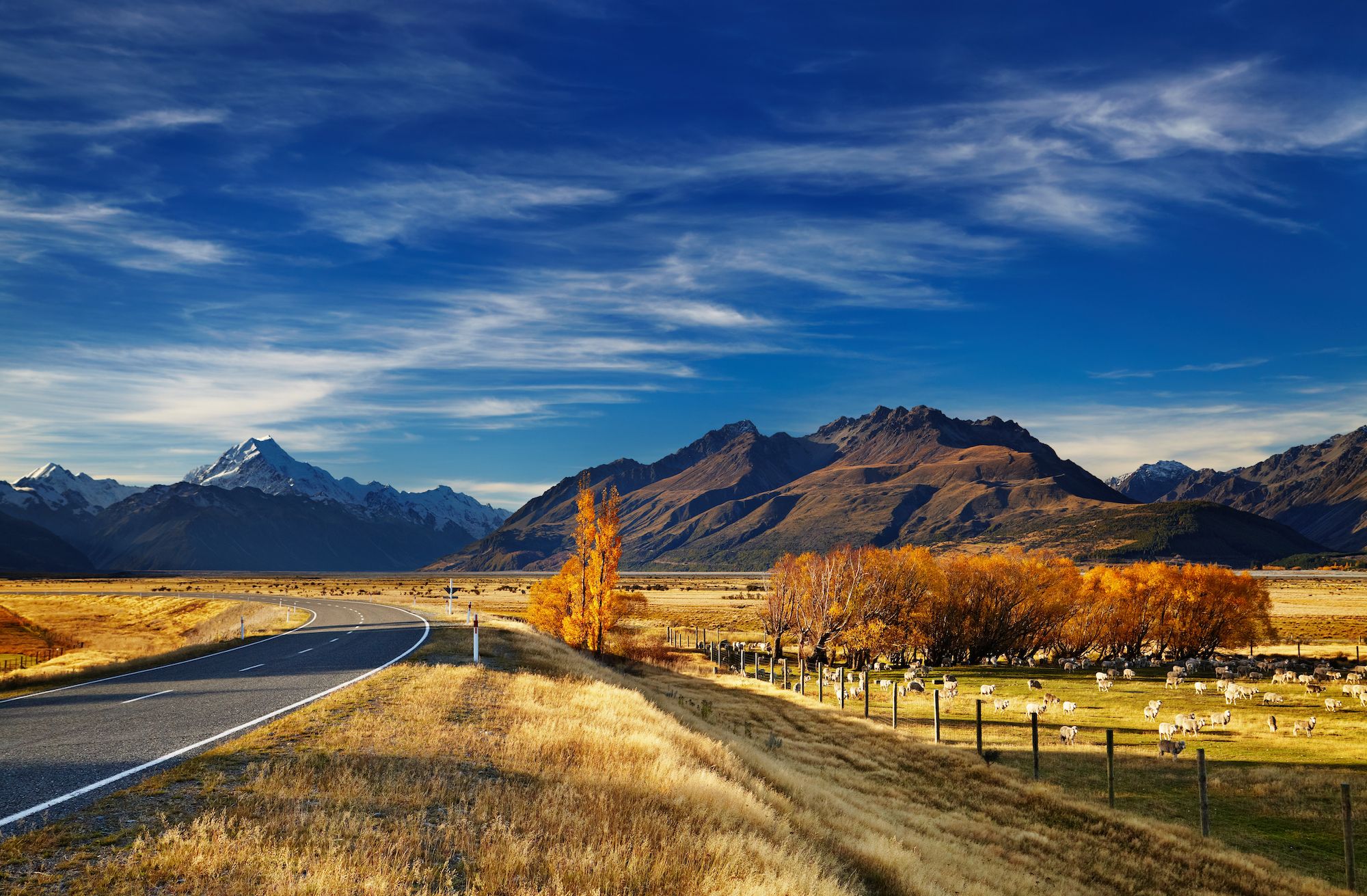 strada paesaggio Nuova Zelanda