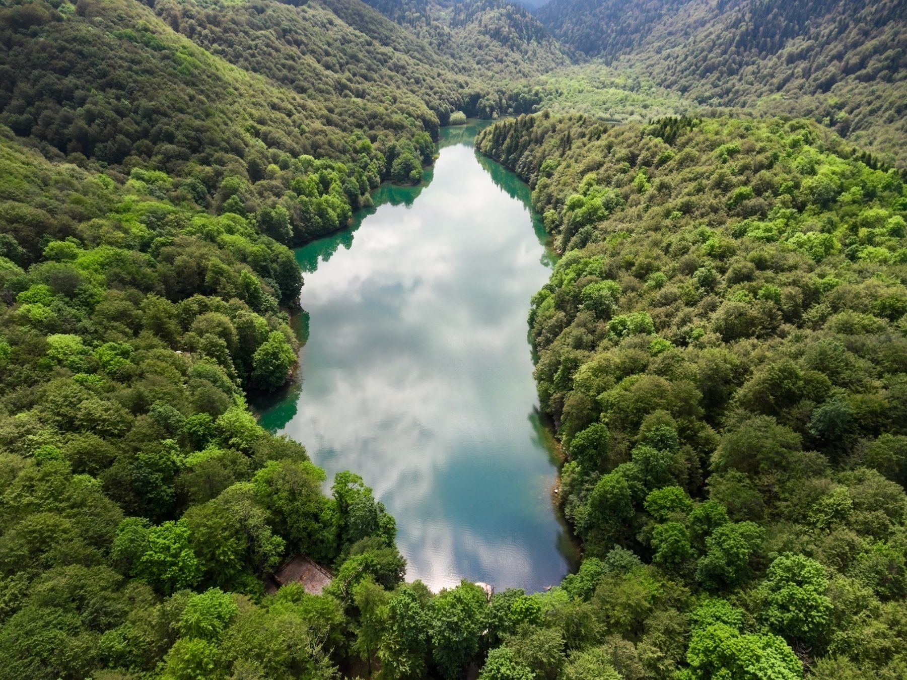 Il lago di Biogradskoe nel parco nazionale di Biogradska Gora ©
Kekyalyaynen