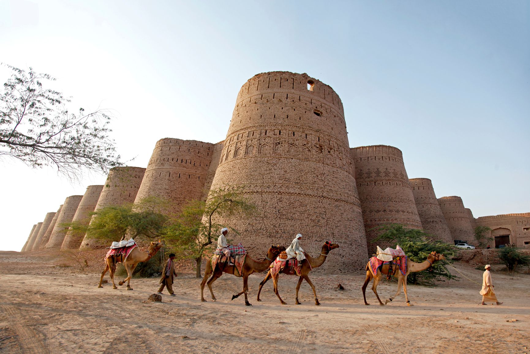 Cammelli, Pakistan