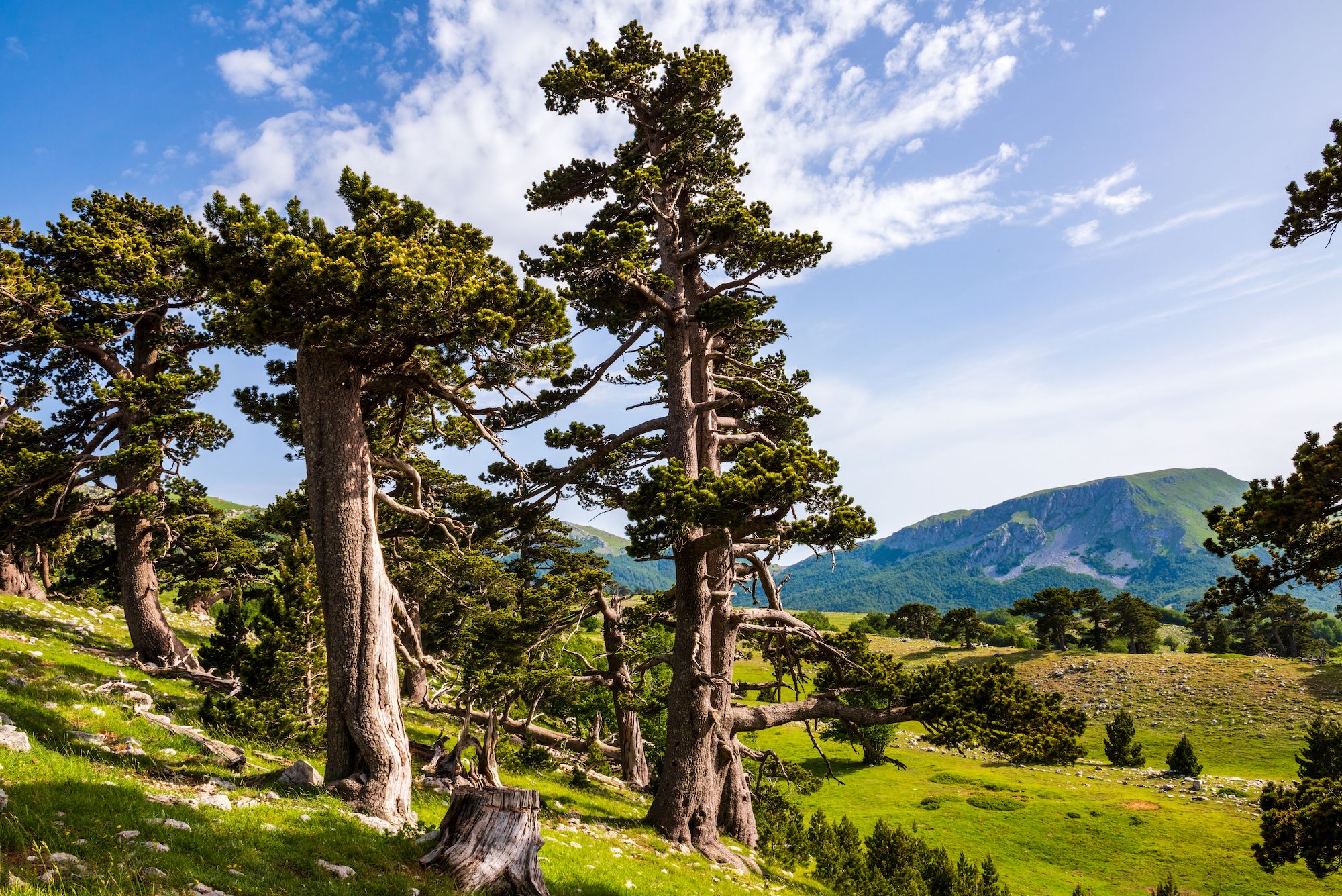 Il Massiccio del Pollino, in Calabria ©trattieritratti