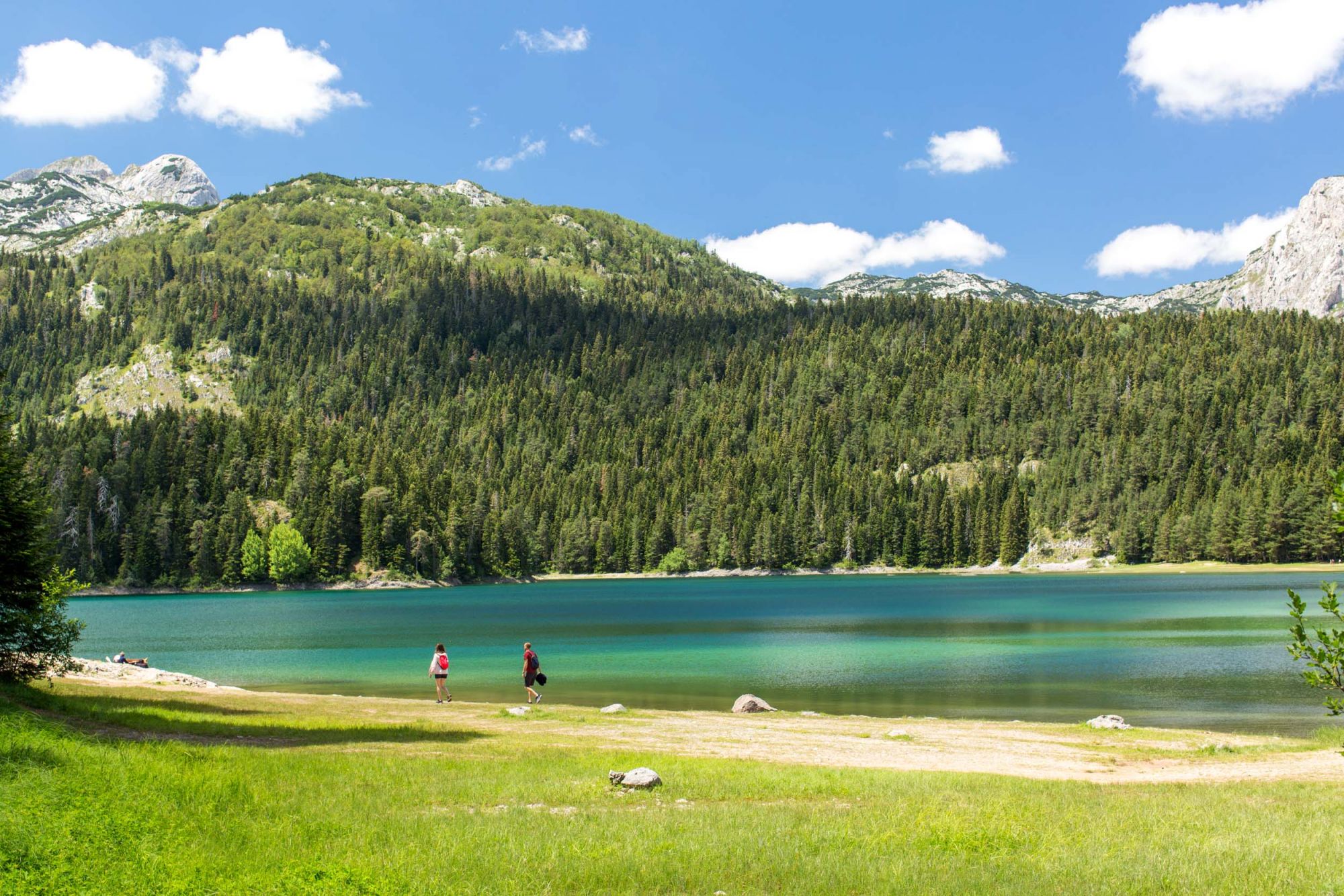 A pochi chilometri da Žabljac si trova l’entrata principale del parco © Mattia Marinolli/Lonely Planet Italia