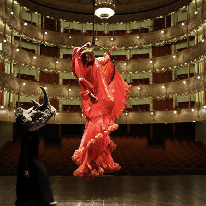 Un momento di “Titizé - A Venetian Dream”. Credits Viviana Cangialosi / Compagnia Finzi Pasca