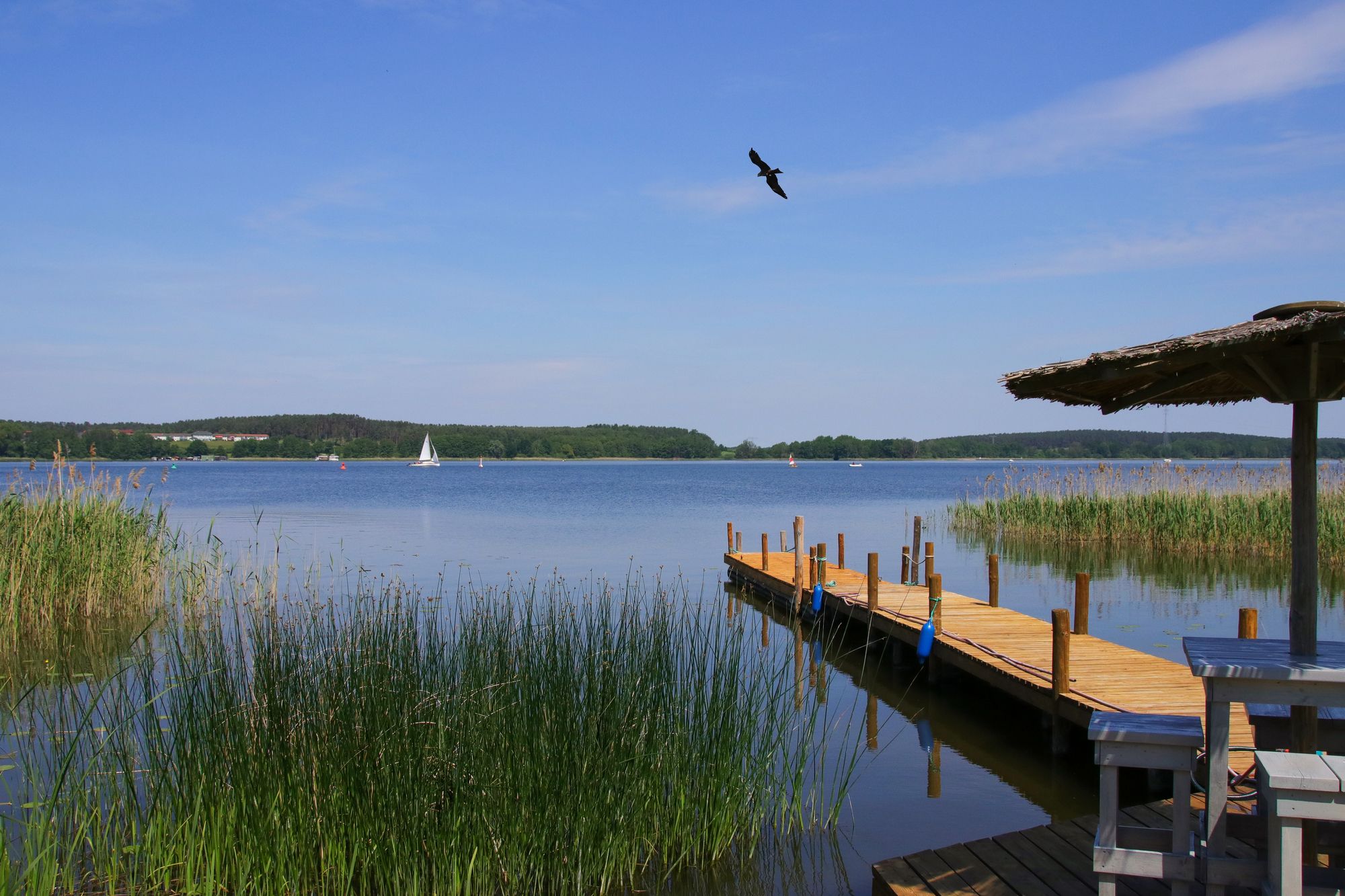 Il Parco Nazionale di Müritz, Germania ©Ina Meer Sommer / Shutterstock