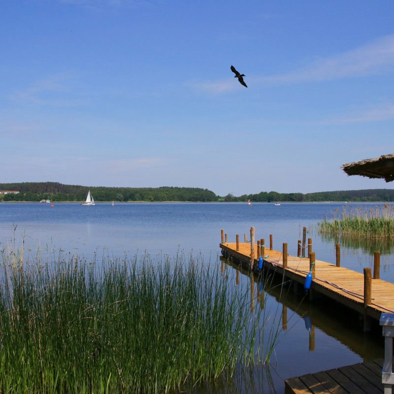 Il Parco Nazionale di Müritz, Germania ©Ina Meer Sommer / Shutterstock