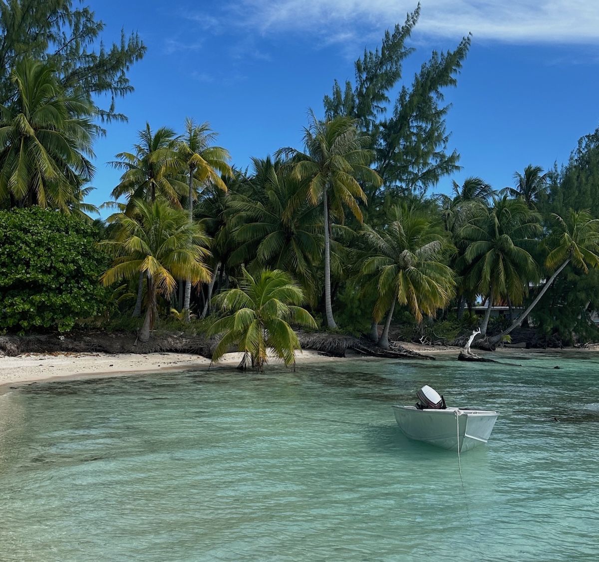 Tikehau. Credits Piero Pasini