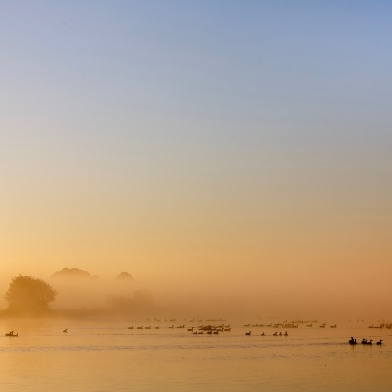Il Parco Nazionale Weerribben-Wieden è la più vasta zona umida d’acqua dolce dell’Europa nord-occidentale ©Anton Havelaar/Shutterstock