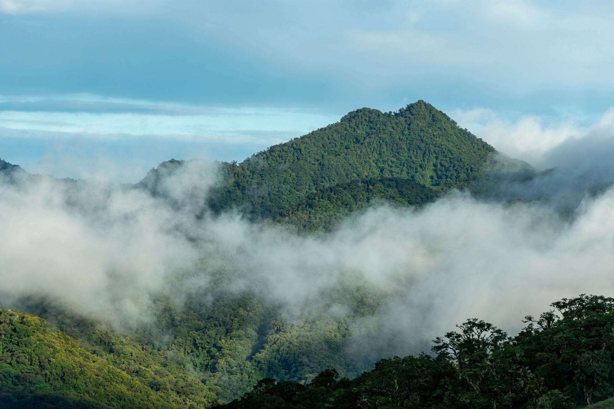 Il vulcano Barú, a Panamá. © Alfredo Maiquez/Shutterstock