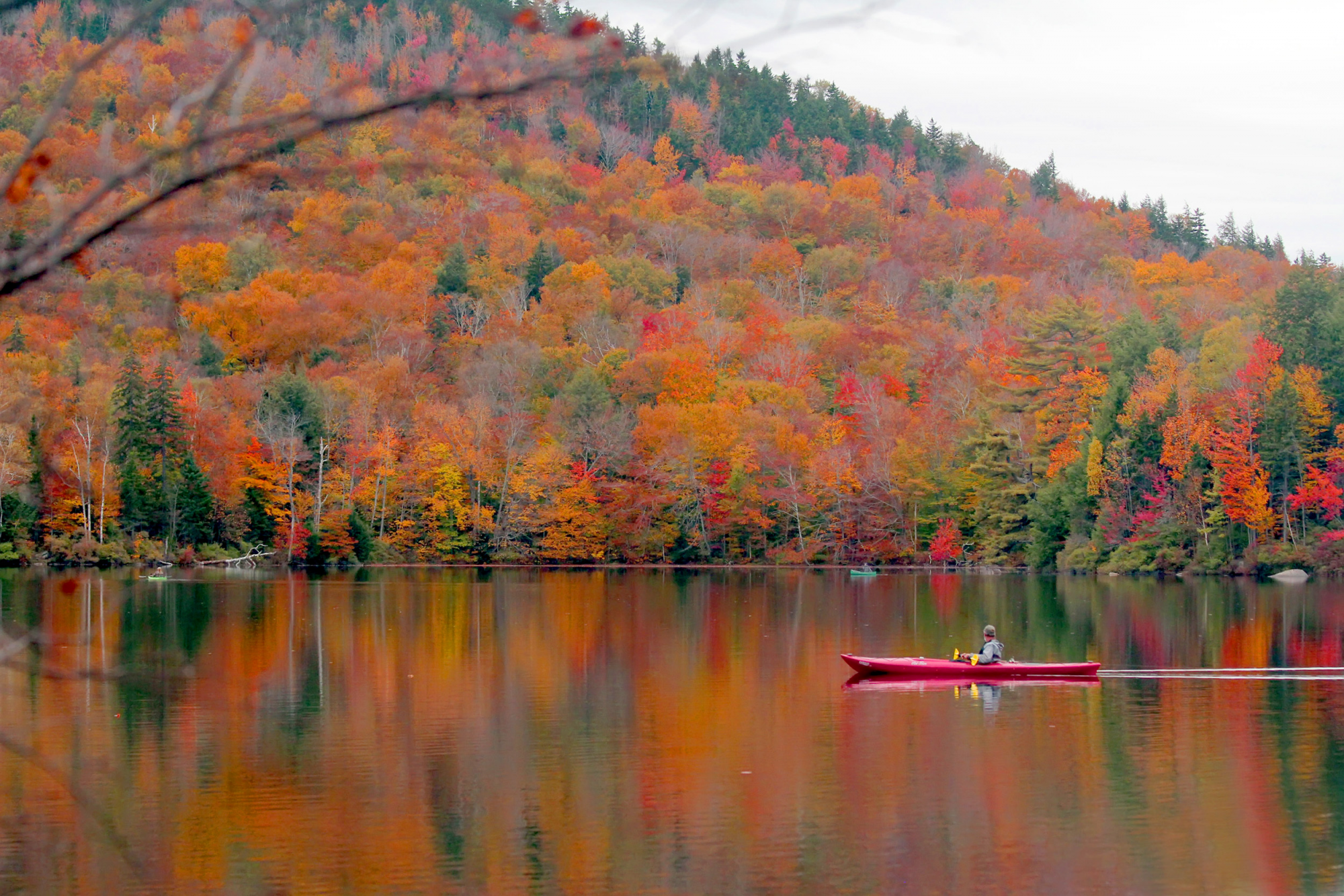 foliage nel new hampshire, stati uniti