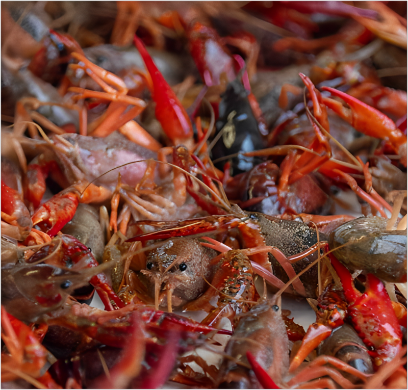 Lake Charles, Louisiana