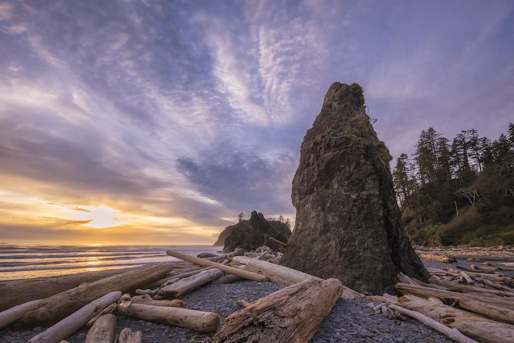 Il fascino selvaggio di Ruby Beach © VW Pics / Contributor /Getty Images
