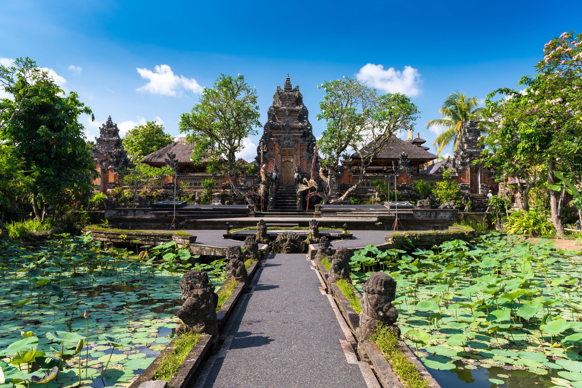 Pura Taman Saraswati, Ubud, Bali ©Maciej Matlak/Shutterstock