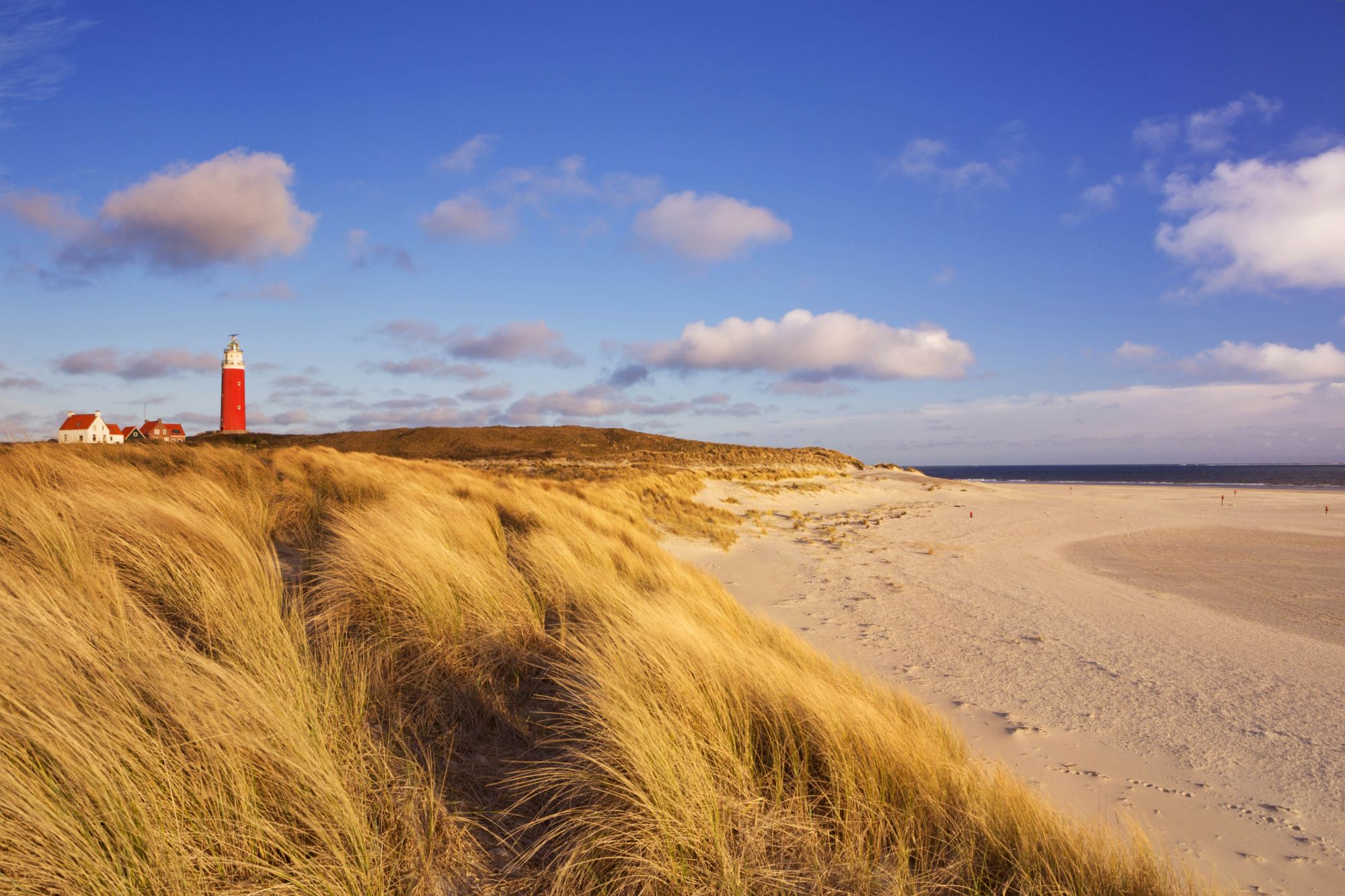 L’incantevole Texel è perfetta per le passeggiate e le gite in bicicletta. © Sara Winter / Shutterstock