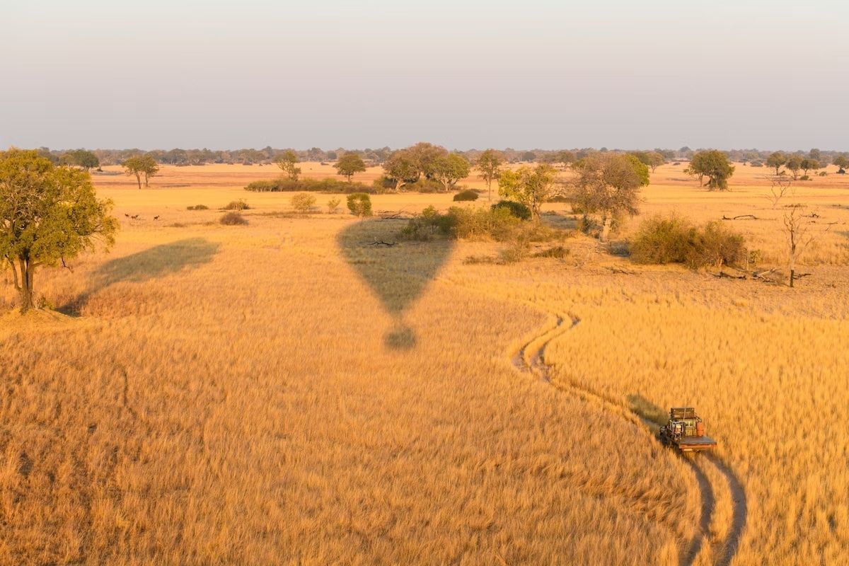 I giri in mongolfiera offrono una vista aerea del Delta dell’Okavango. Robert Harding Video/Shutterstock