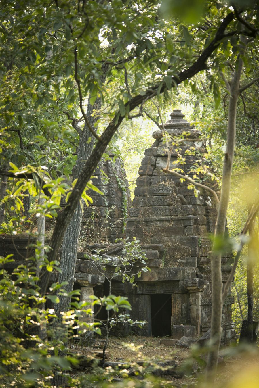Un antico tempio gond nel Satpura National Park. © Philip Lee Harvey/Lonely Planet