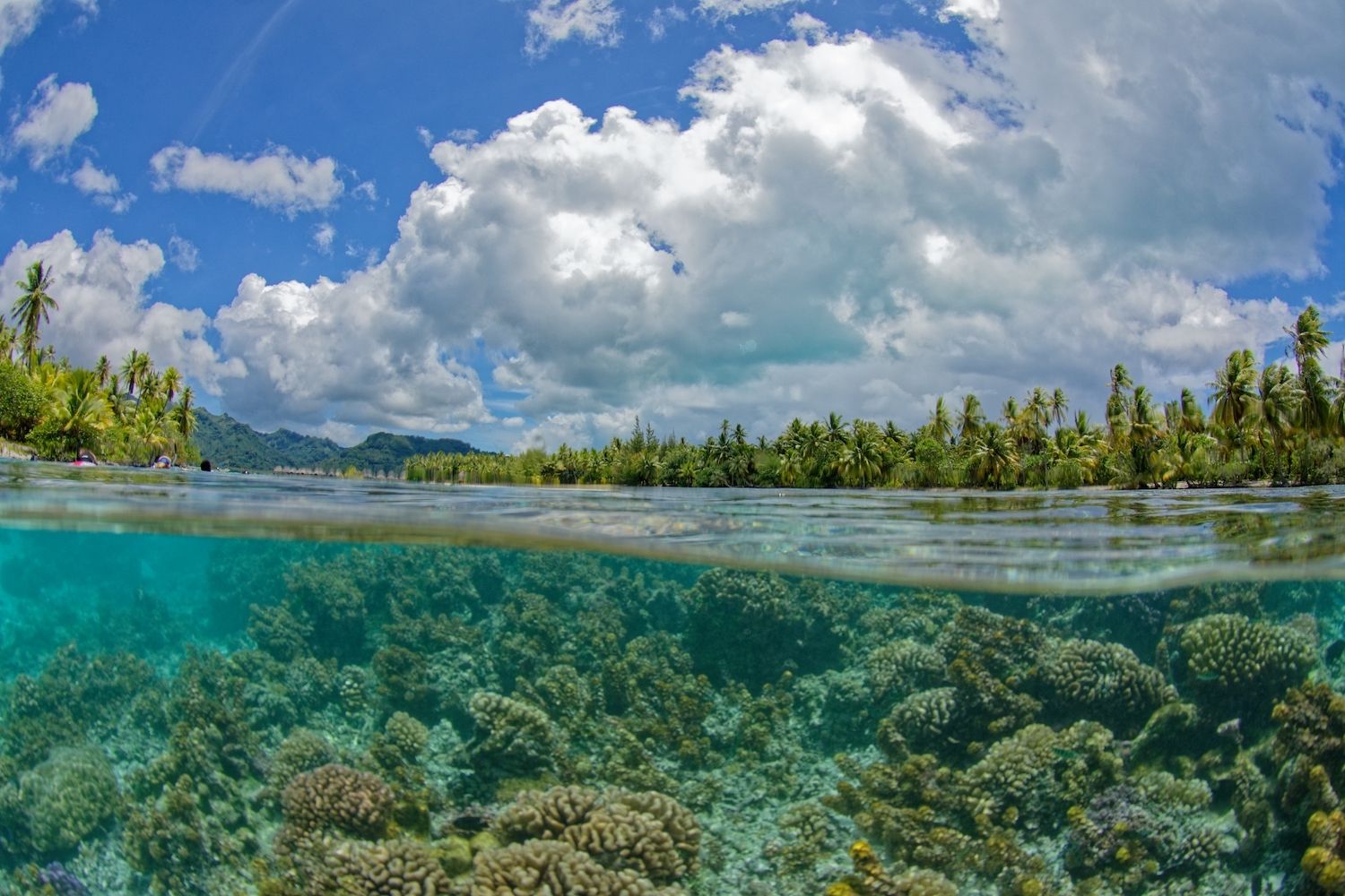 La laguna è il luogo prefetto per lo snorkelling ©bru greg/Shutterstock