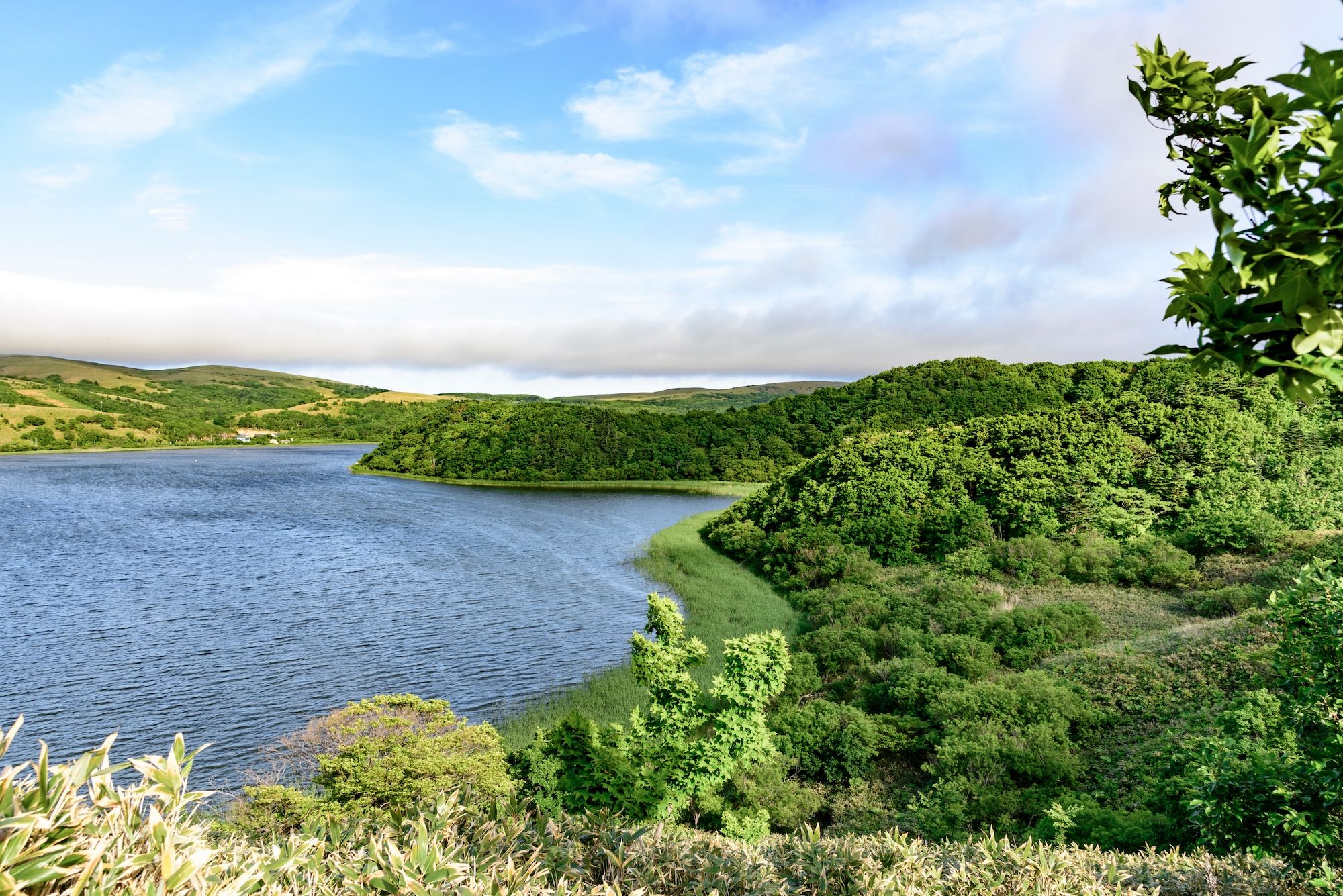 L’isola di Rebun-tō @rujin/Shutterstock