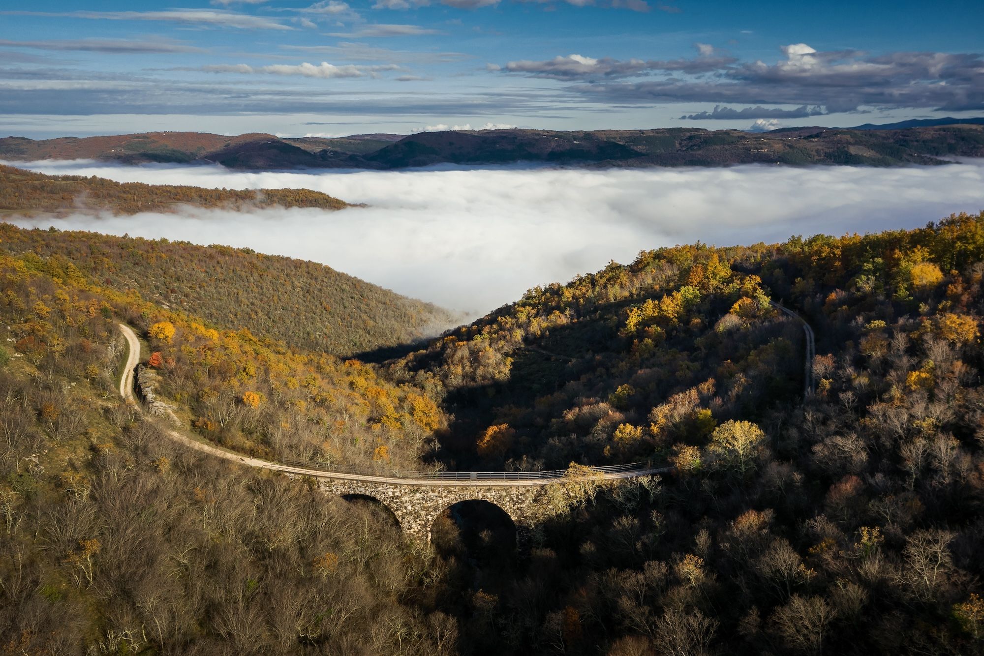 La Parenzana offre 78 km di percorso cicloturistico ©Wirestock Creators /Shutterstock