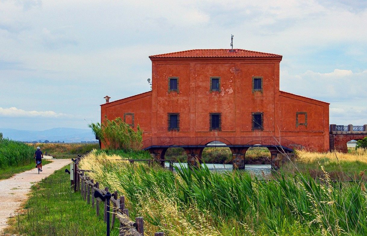 In bici alla Diaccia Botrona, nel cuore della Maremma grossetana. Credits Julia Lopatina / Shutterstock