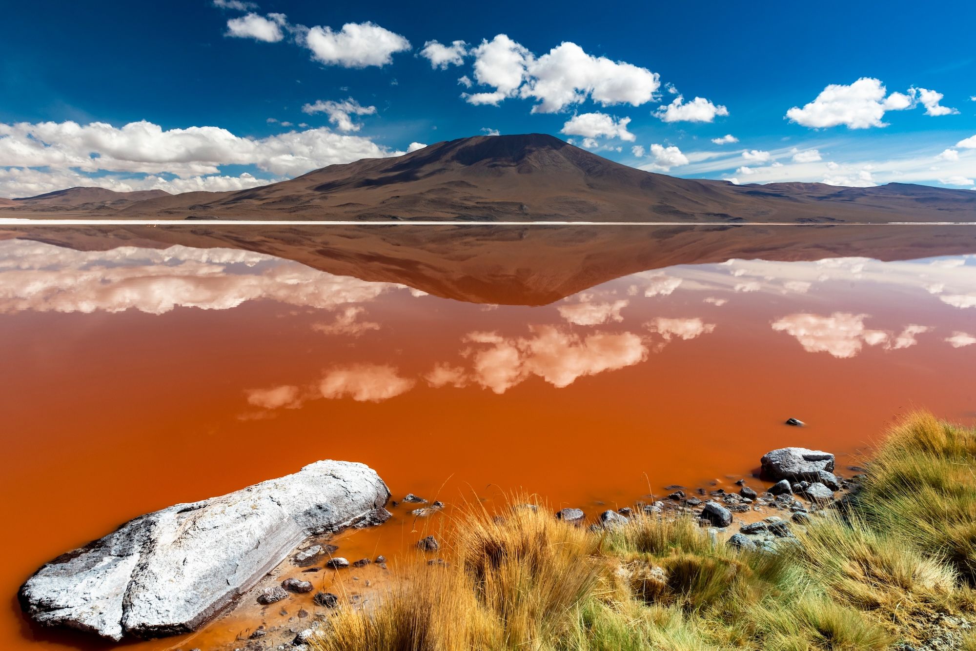 La Laguna Colorada © yggdrasill / Shutterstock