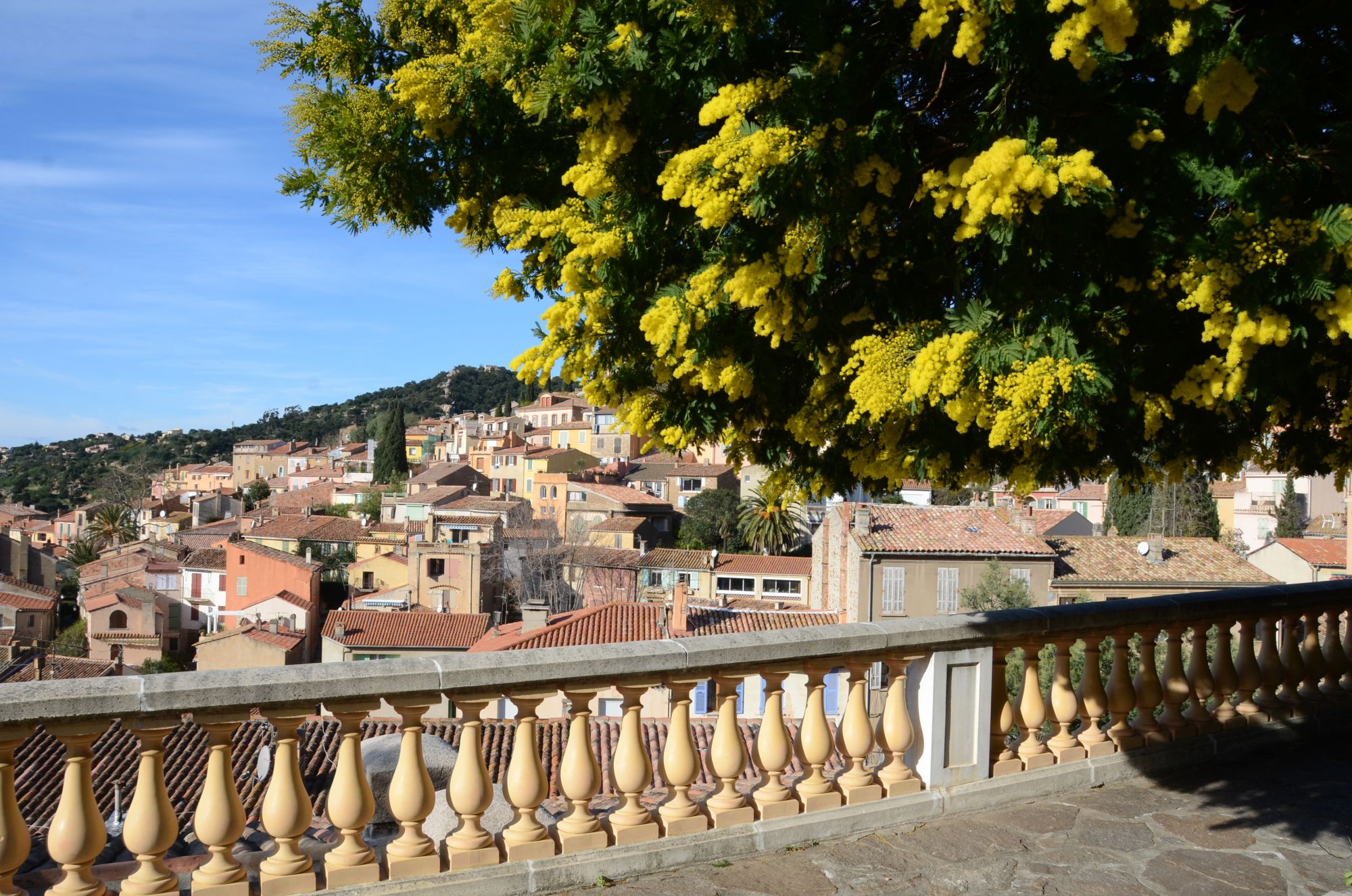L’itinerario parte da parte da Bormes-les-Mimosas ©Damien BONFILS