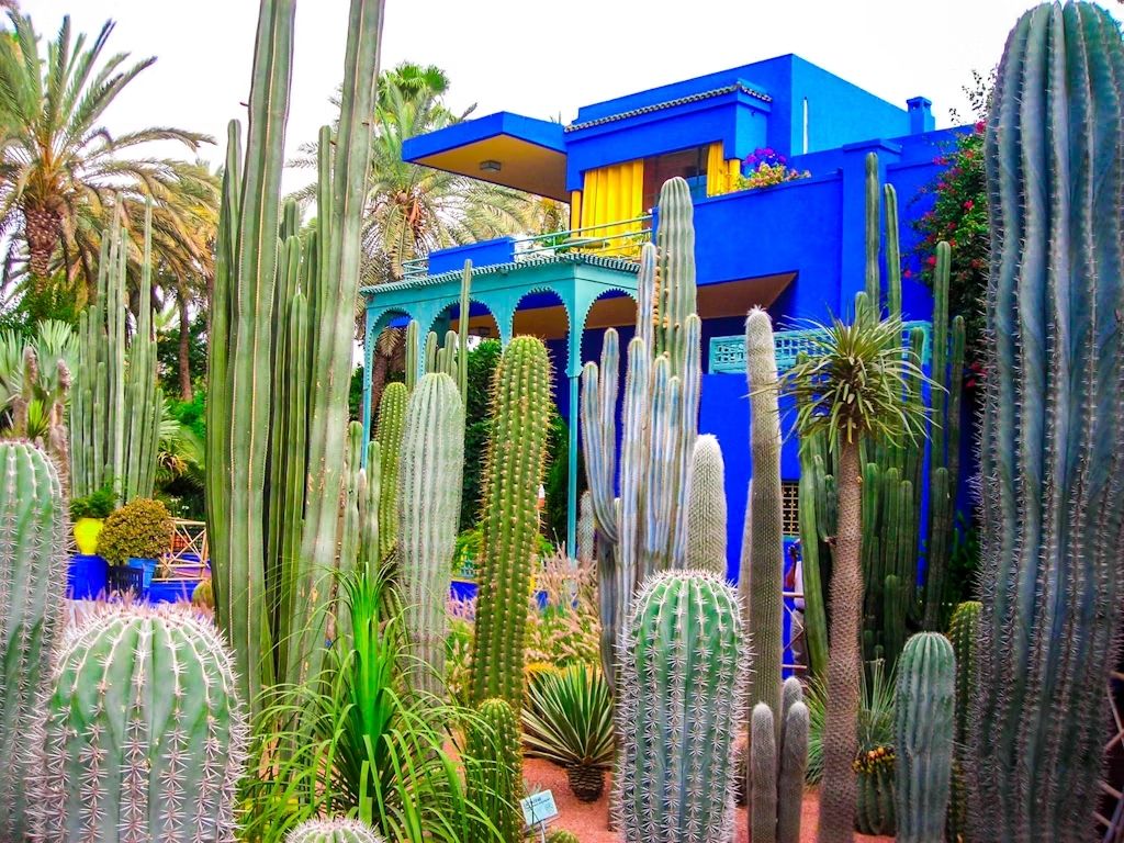 Il blu è il colore che domina accanto al verde al Jardin Majorelle. © Aurore Kervoern / Getty Images